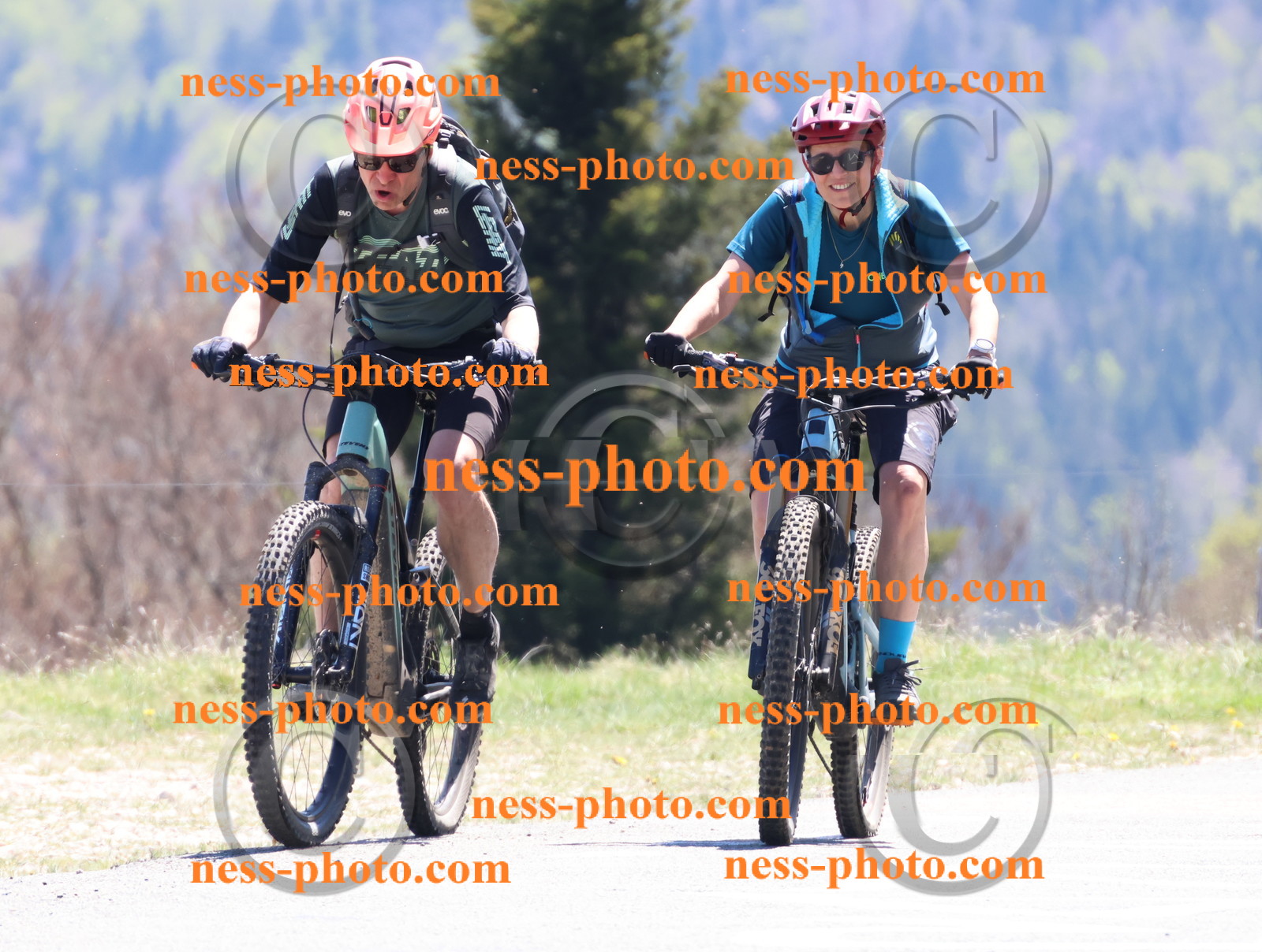 Col du Grand Colombier (735).JPG