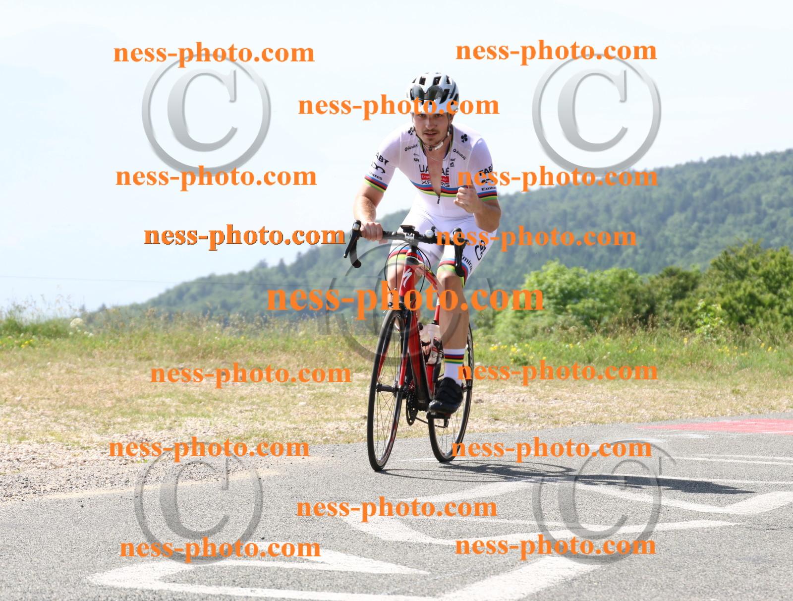 Col du grand Colombier (897).JPG