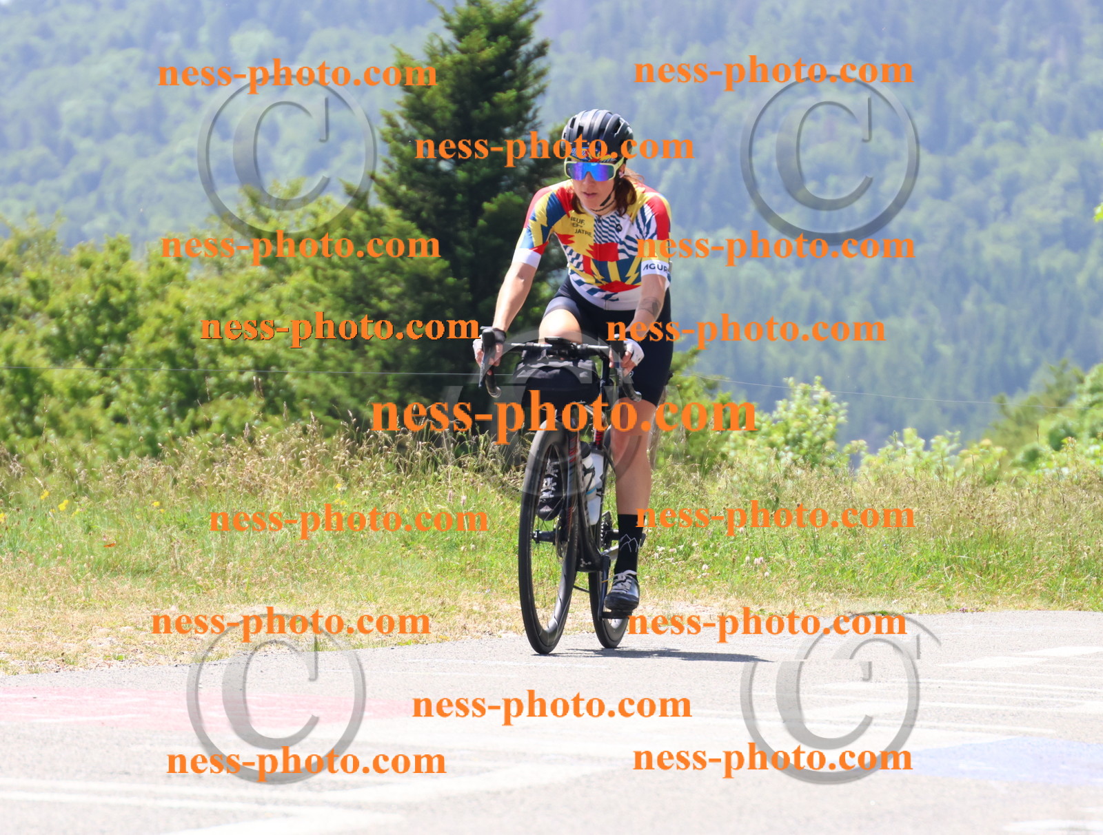 Col du grand Colombier (2587).JPG