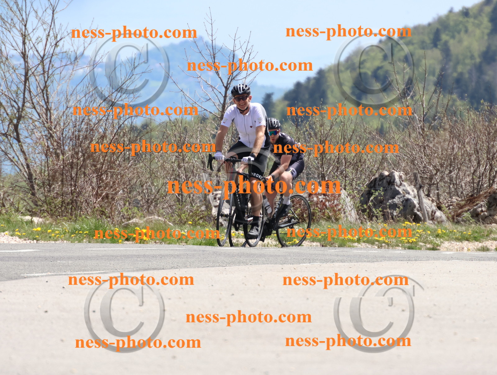 Col du Grand Colombier (795).JPG