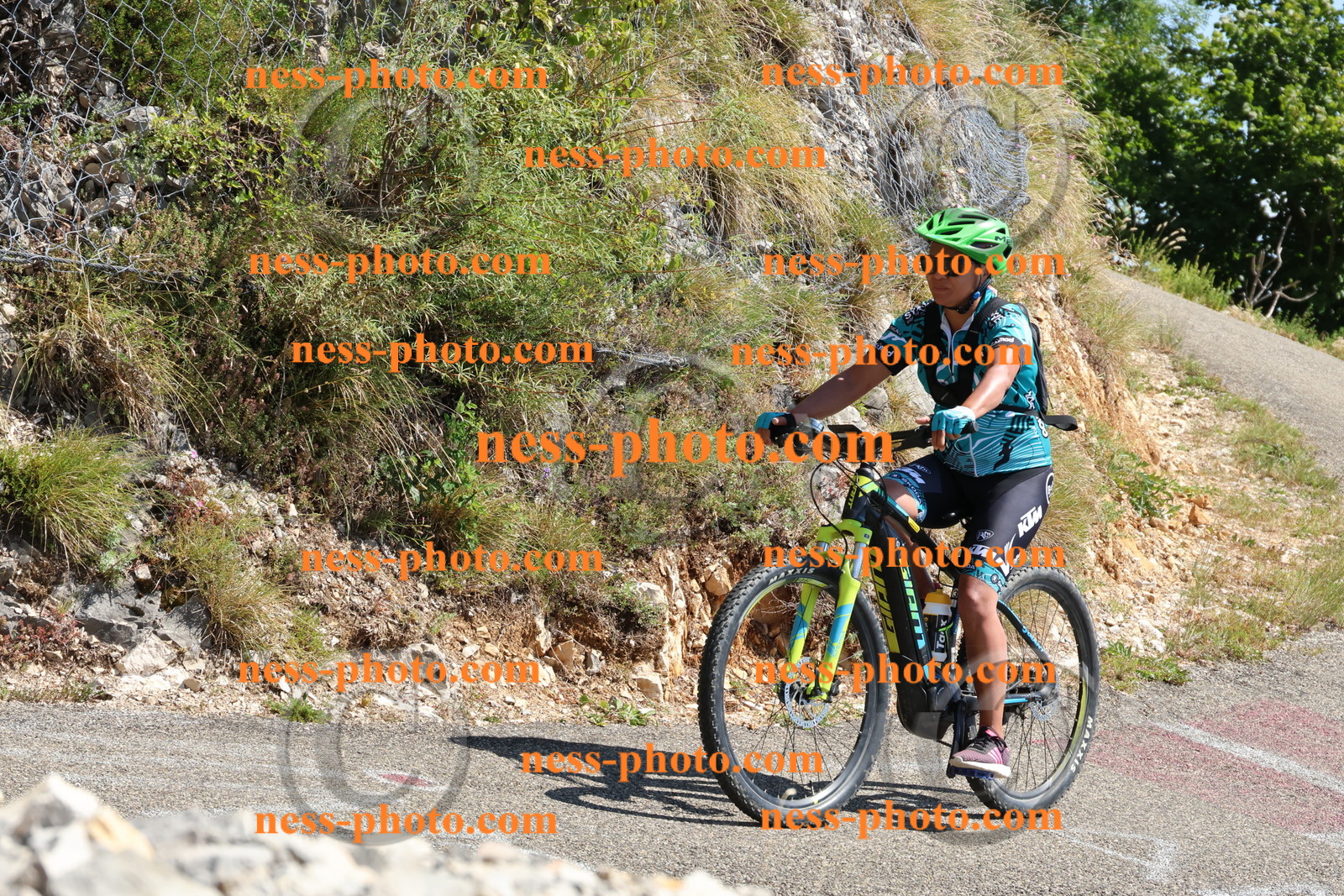 Col du Grand Colombier (502).JPG