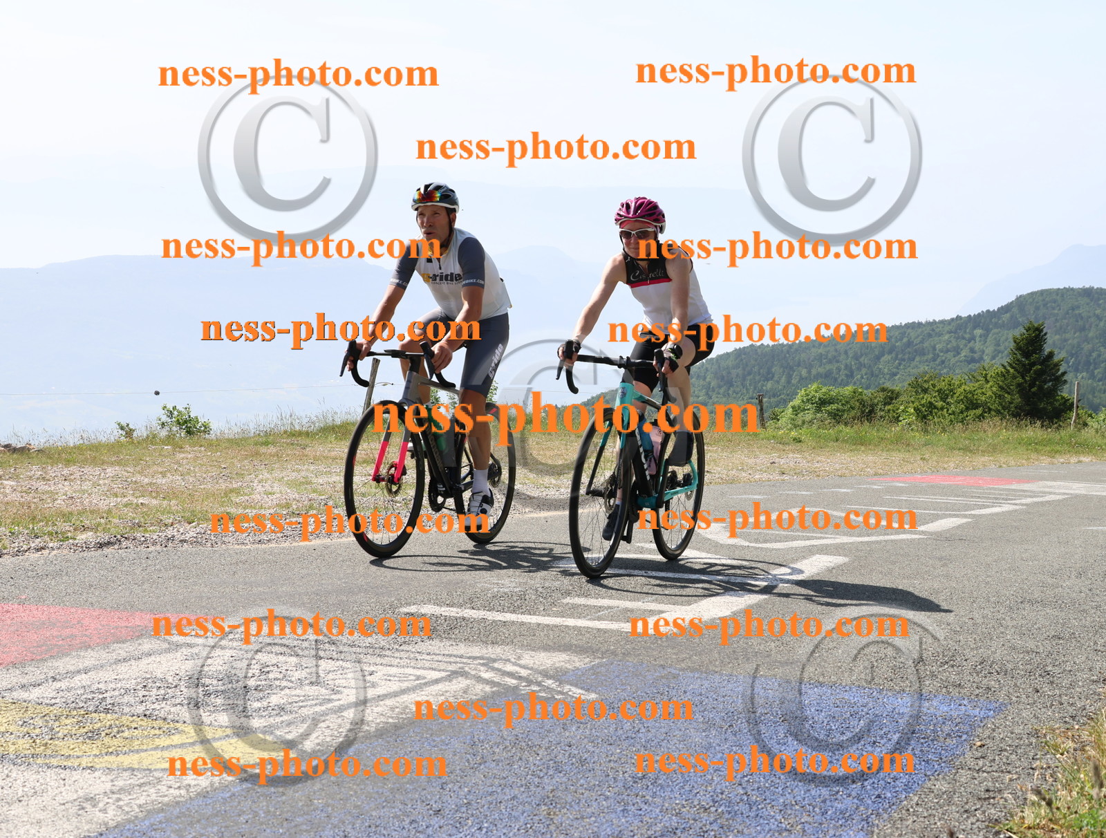 Col du grand Colombier (891).JPG