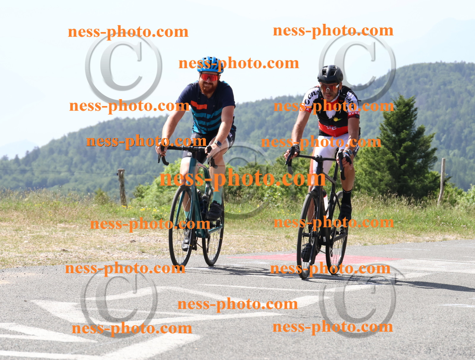 Col du grand Colombier (1208).JPG