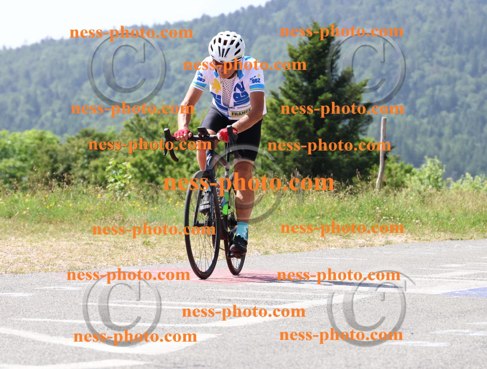 Col du grand Colombier (1254).JPG