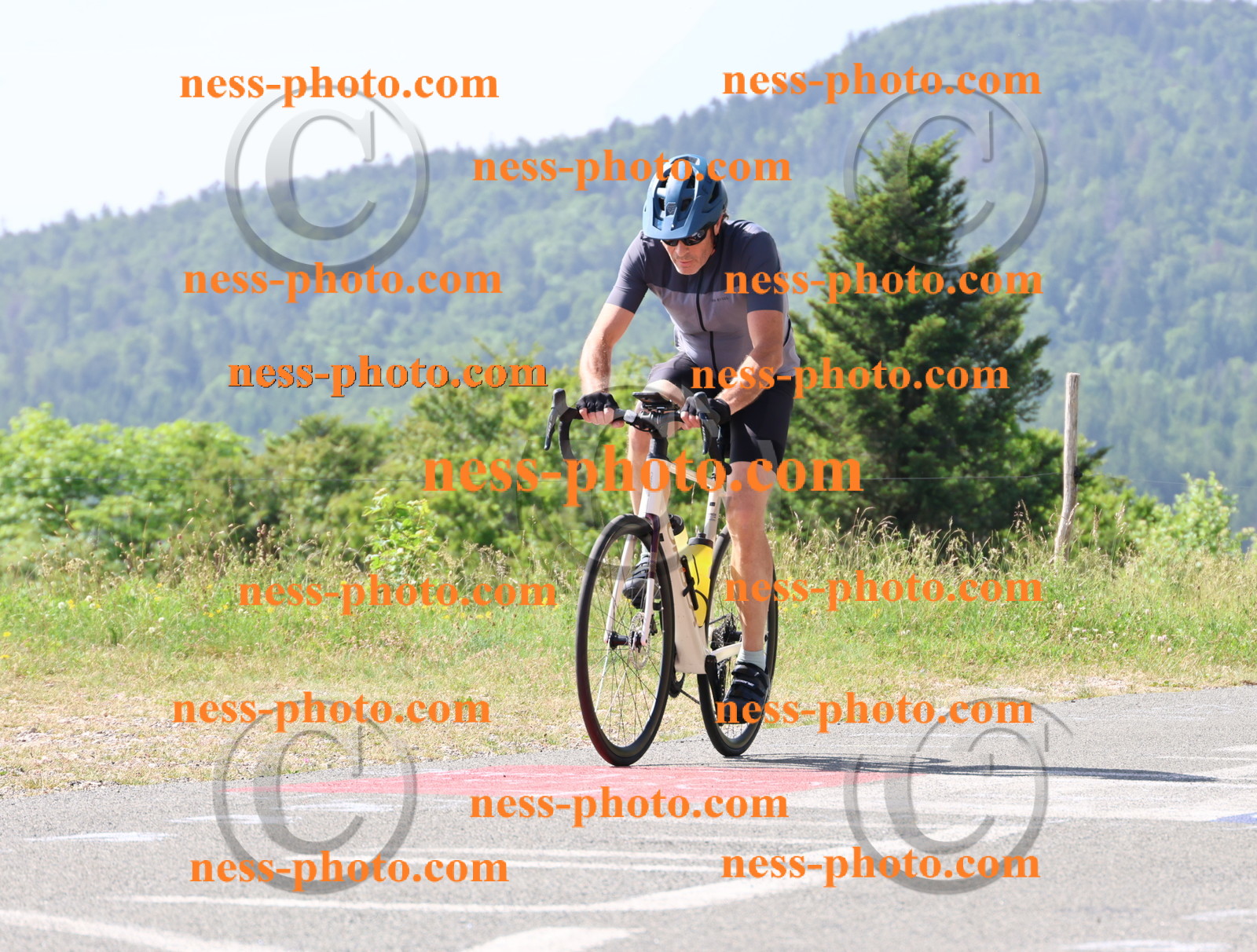 Col du grand Colombier (827).JPG