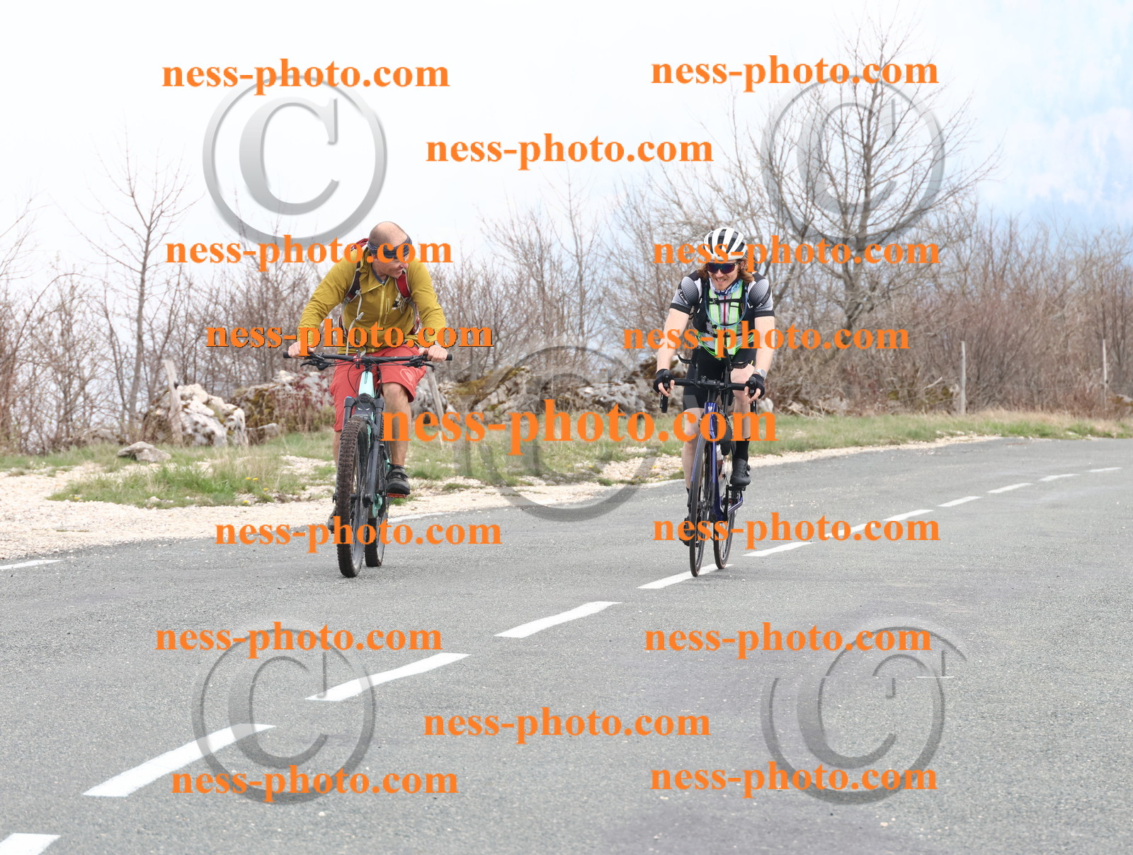 Col du Grand Colombier (94).JPG