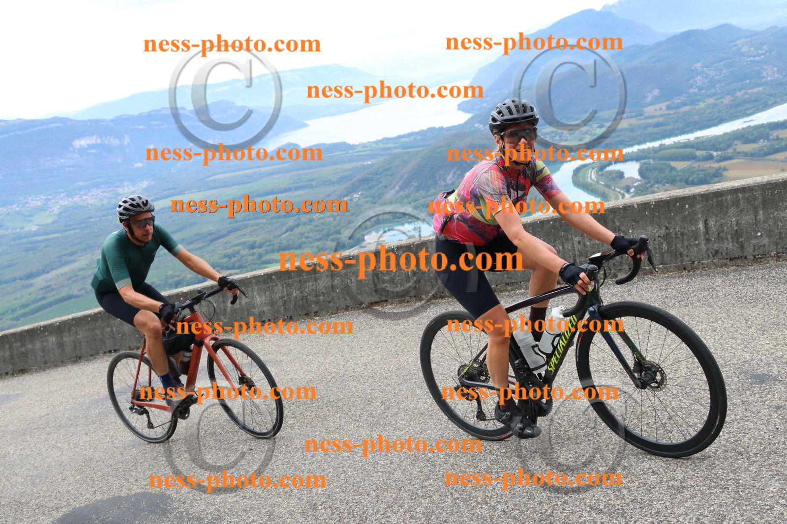 Col du Grand Colombier (2920).JPG