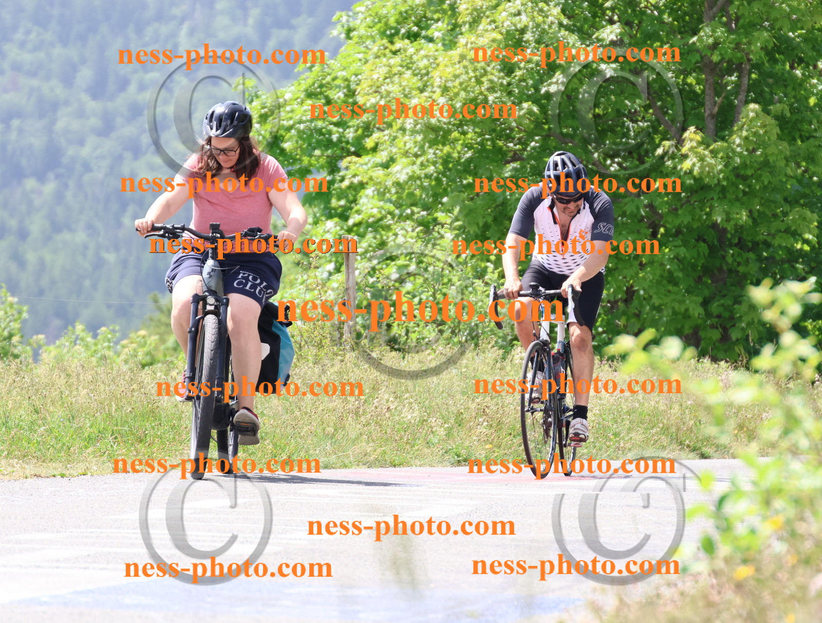 Col du grand Colombier (2025).JPG