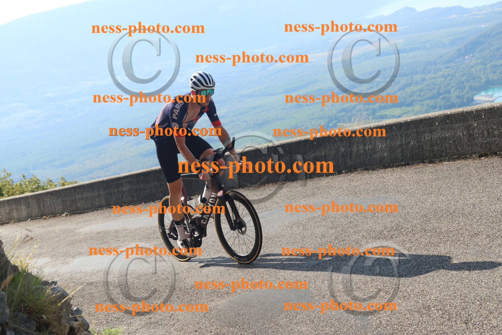 Col du Grand Colombier (1380).JPG