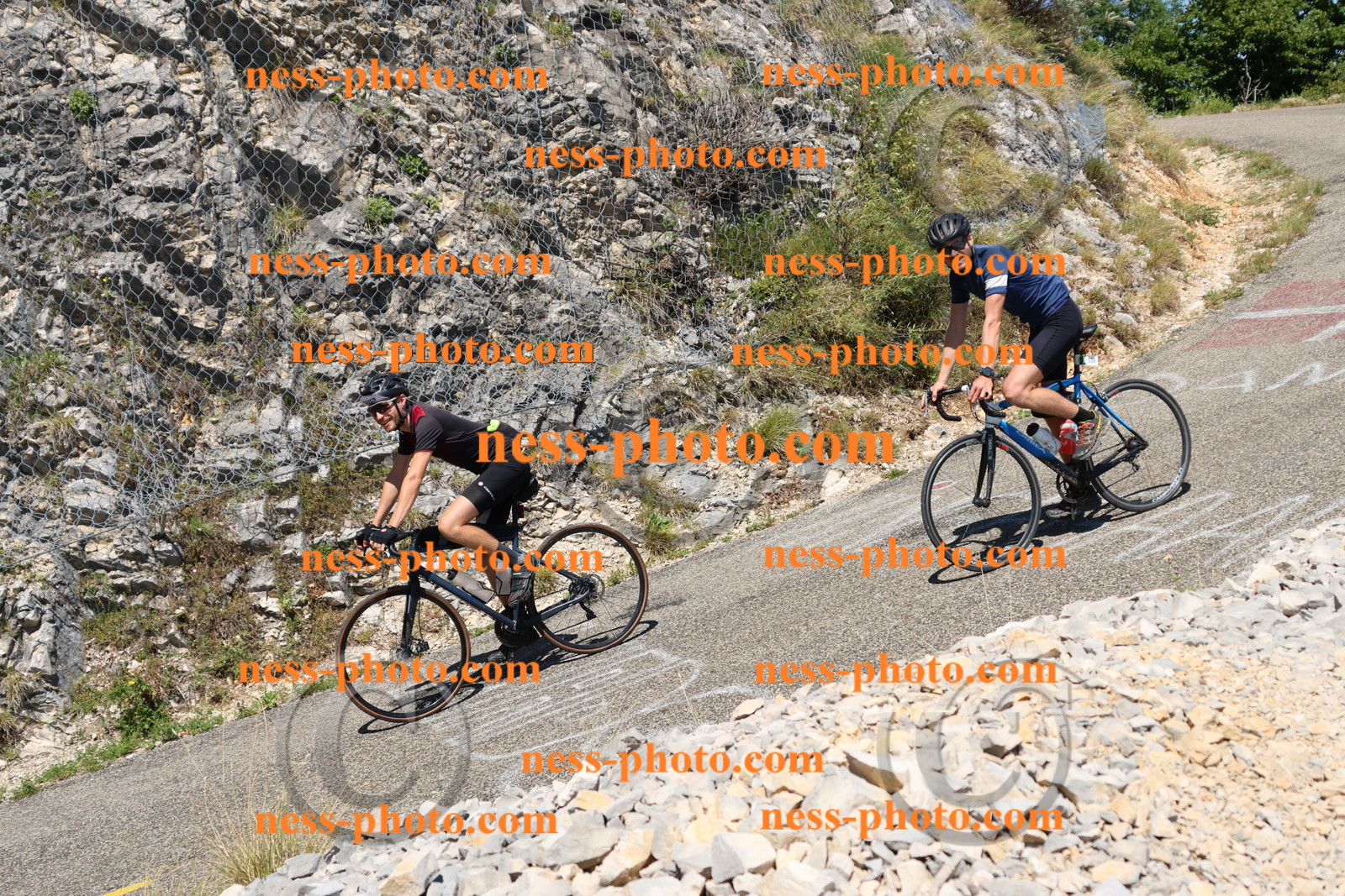 Col du Grand Colombier (652).JPG