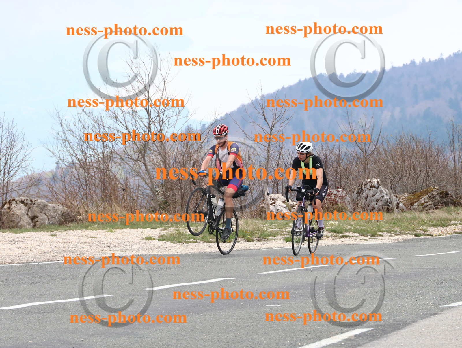 Col du Grand Colombier (113).JPG