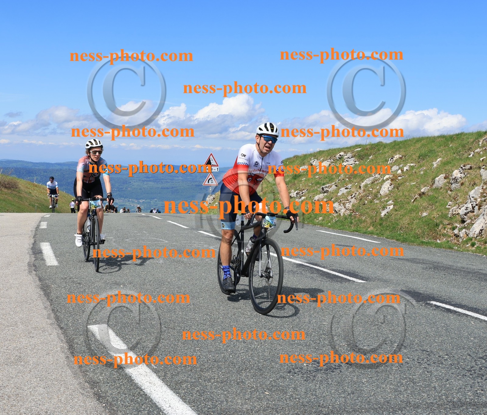 Col du Grand Colombier (1135).JPG