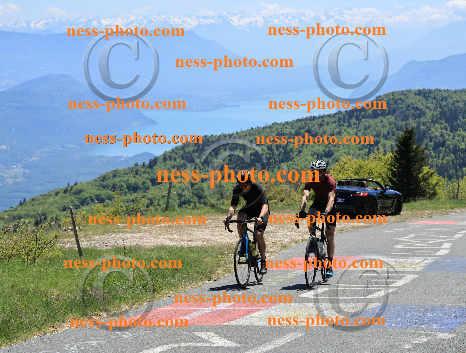 Col du Grand Colombier (445).JPG