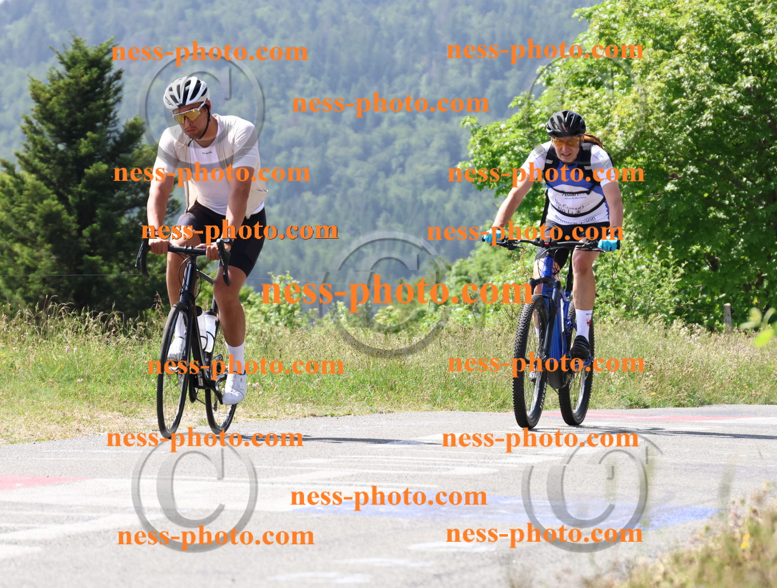 Col du grand Colombier (1500).JPG