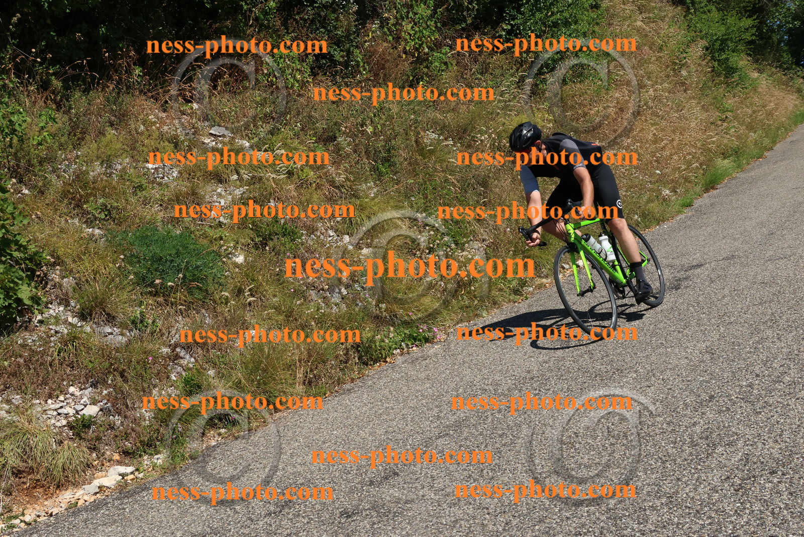 Col du Grand Colombier (517).JPG