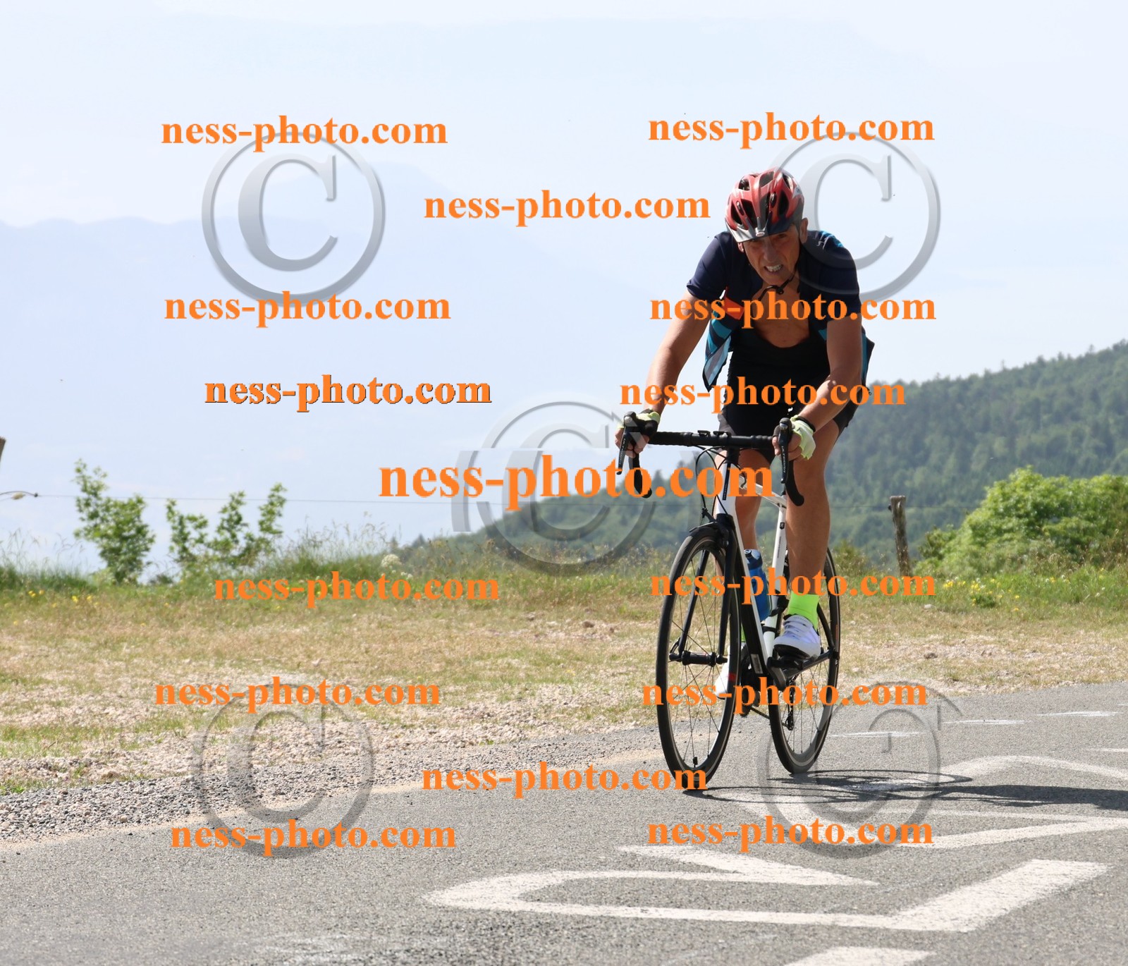 Col du grand Colombier (1202).JPG