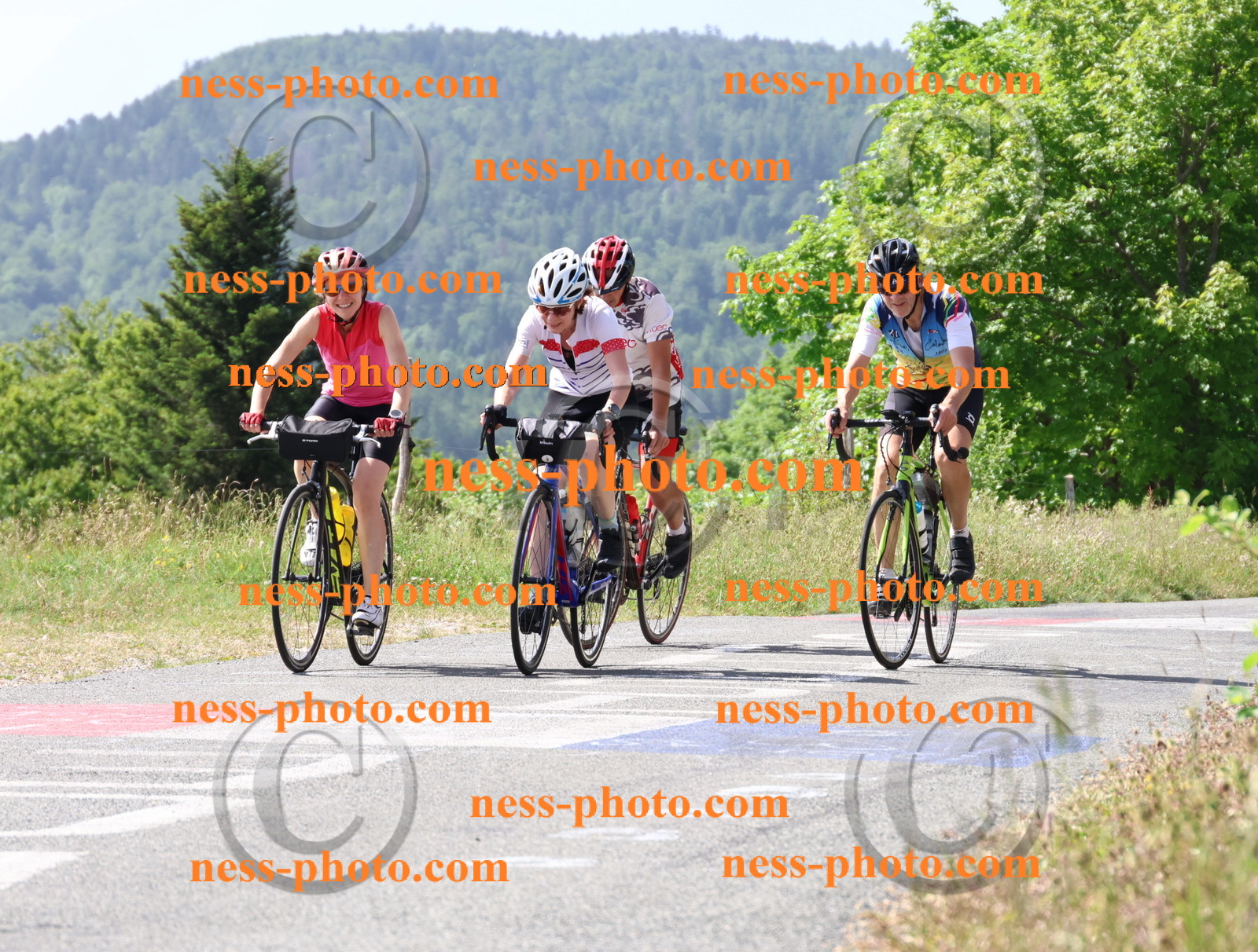 Col du grand Colombier (1008).JPG