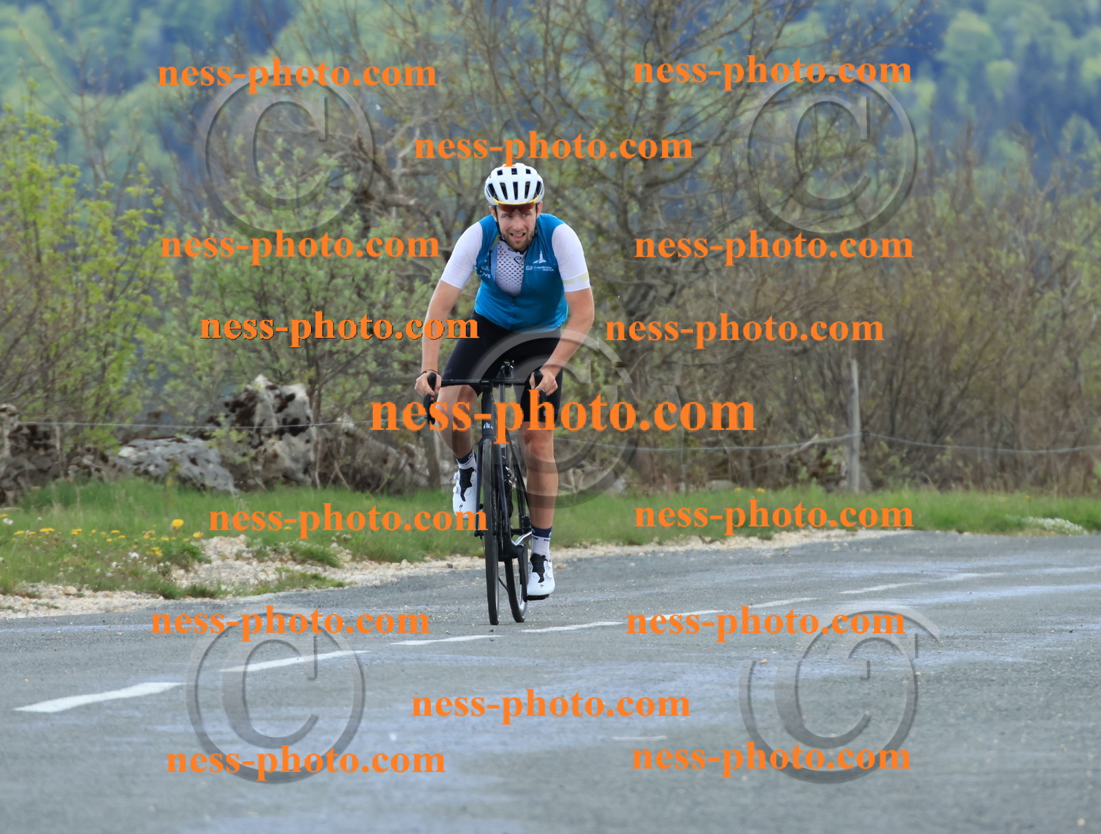 Col du grand Colombier (603).JPG