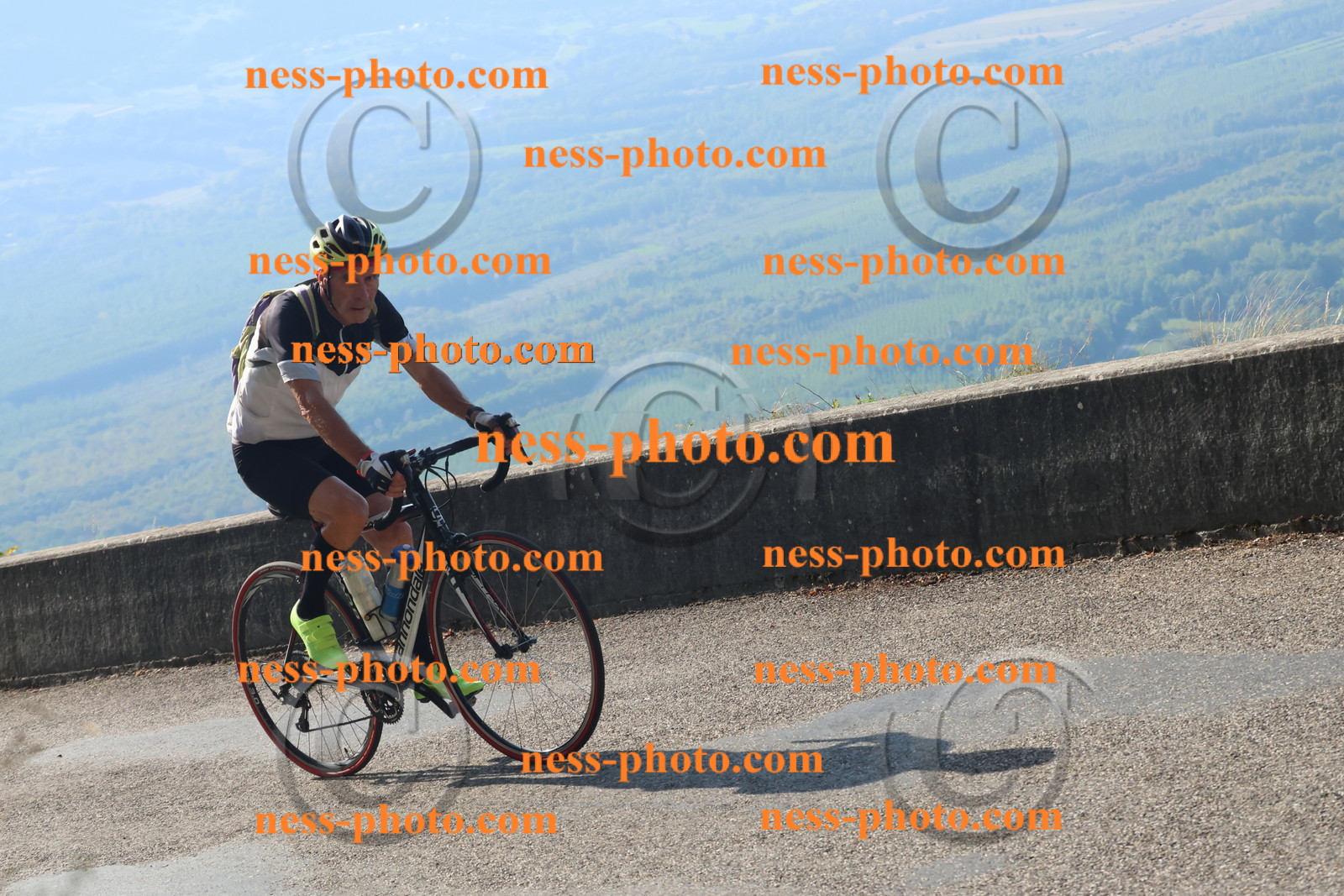 Col du Grand Colombier (1406).JPG