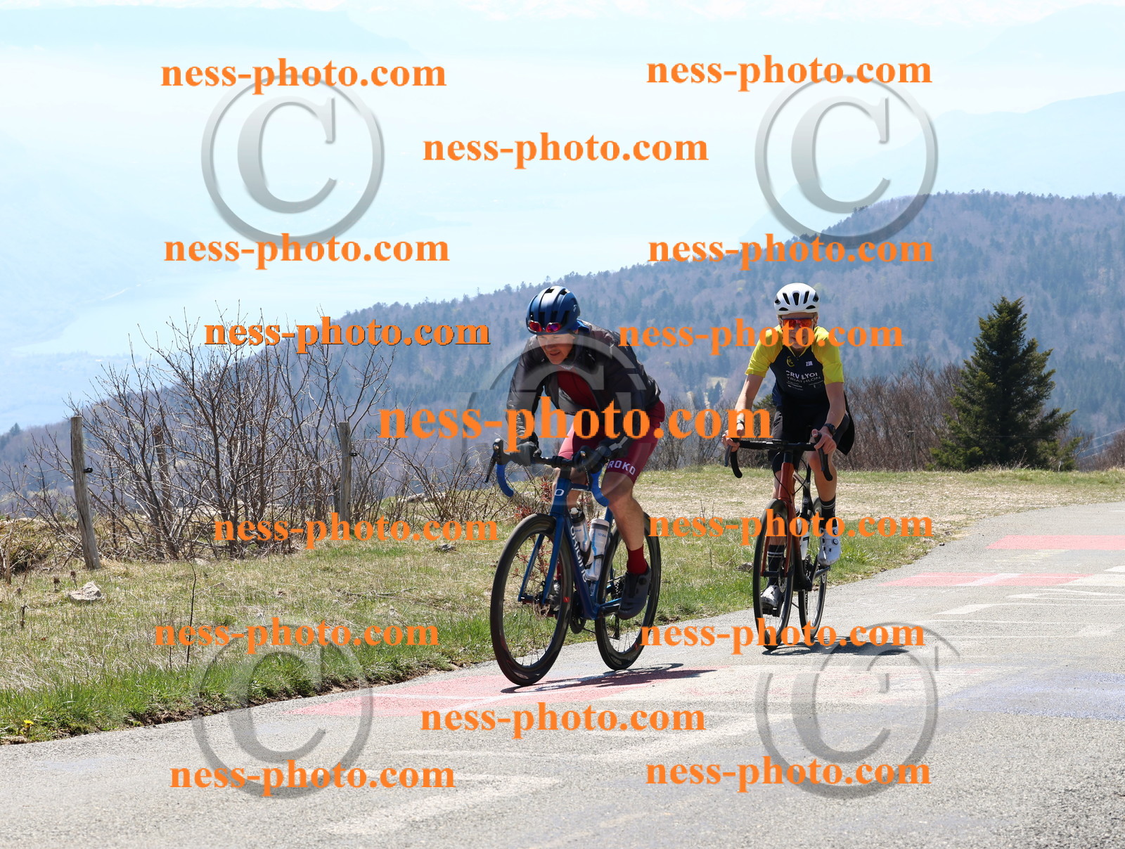 Col du Grand Colombier (176).JPG