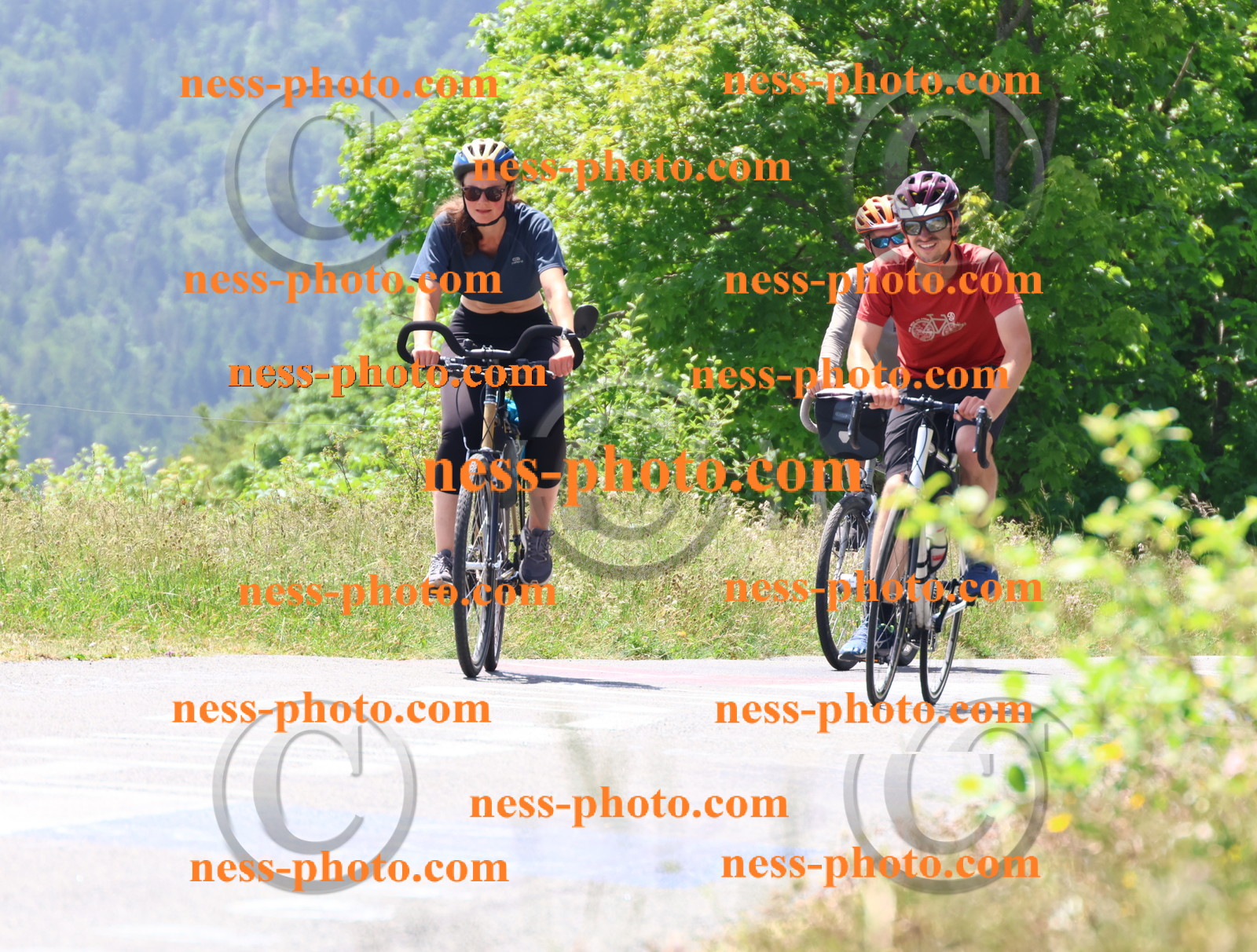 Col du grand Colombier (2617).JPG