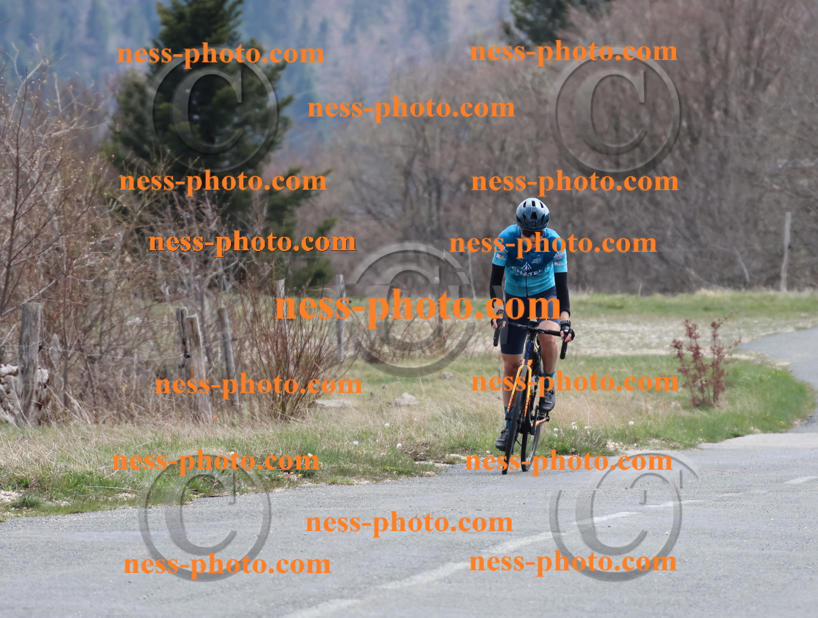 Col du Grand Colombier (366).JPG