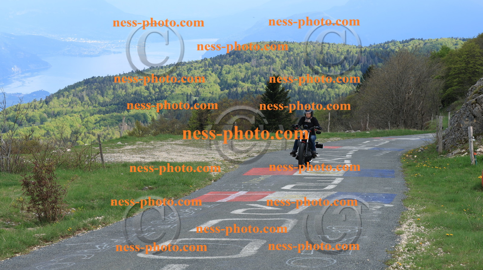 Col du Grand Colombier (282).JPG