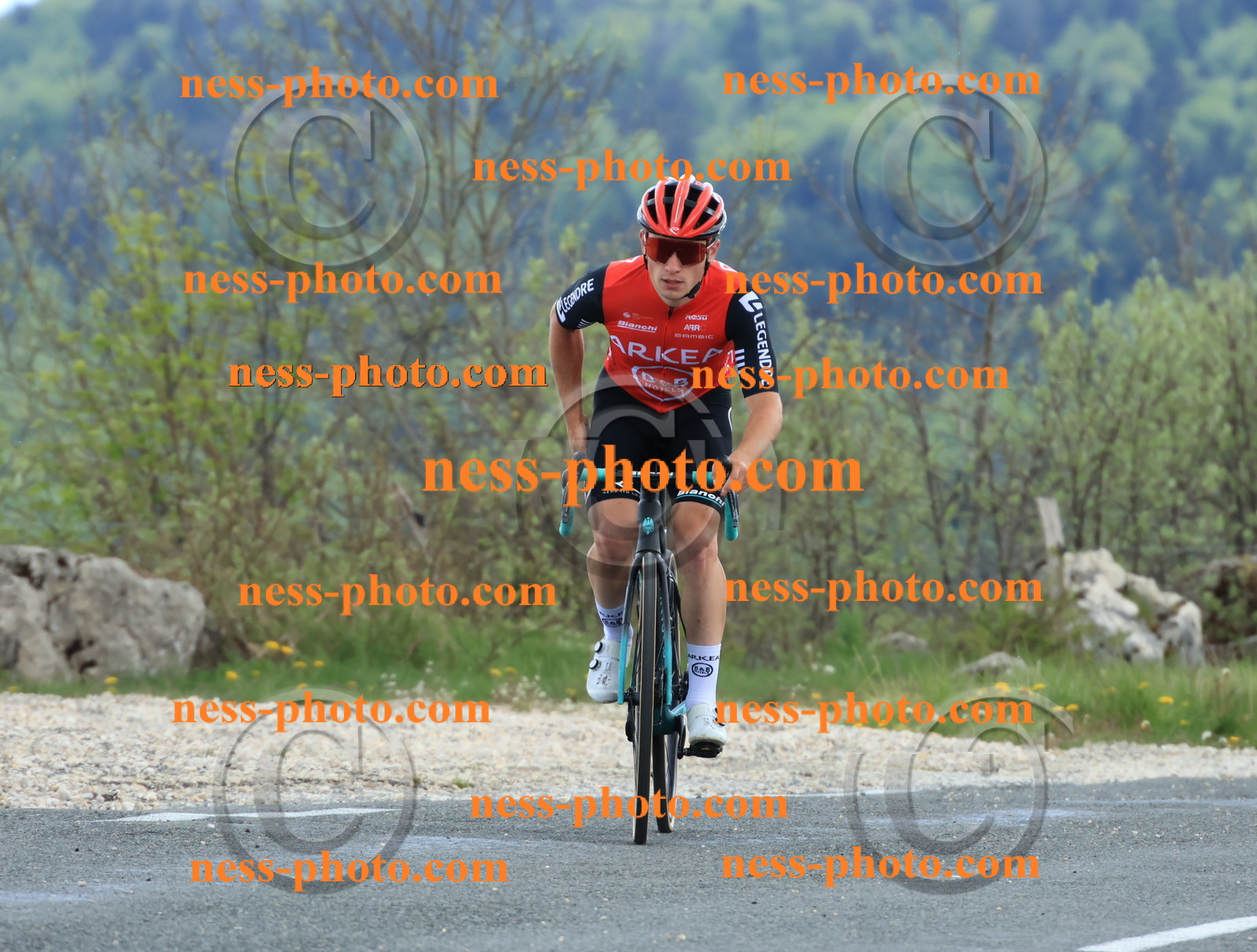 Col du grand Colombier (594).JPG