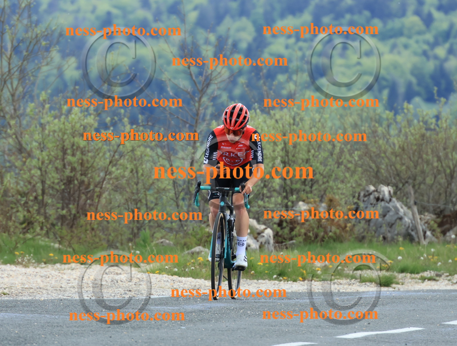 Col du grand Colombier (593).JPG