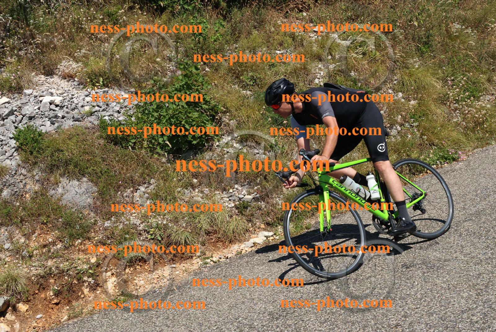 Col du Grand Colombier (518).JPG