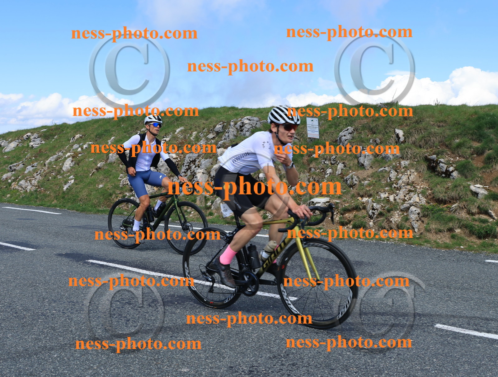 Col du Grand Colombier (1103).JPG