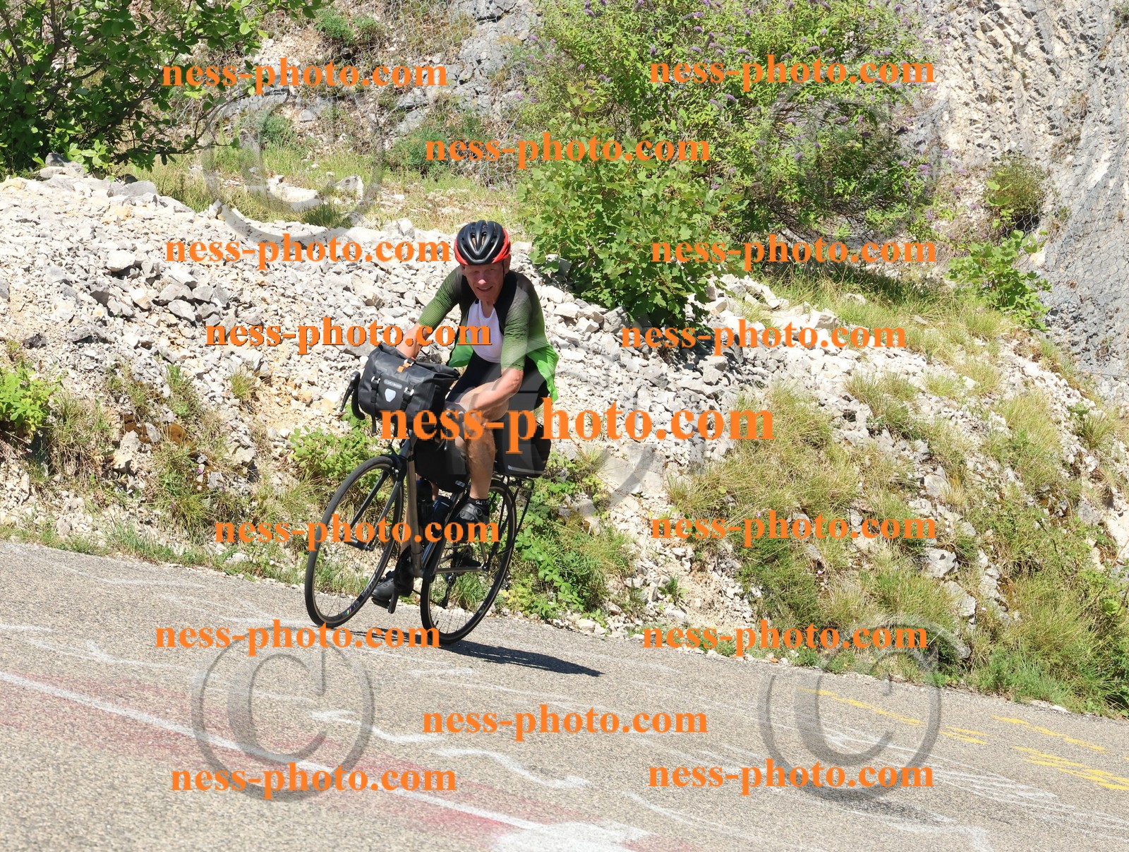 Col du Grand Colombier (339).JPG