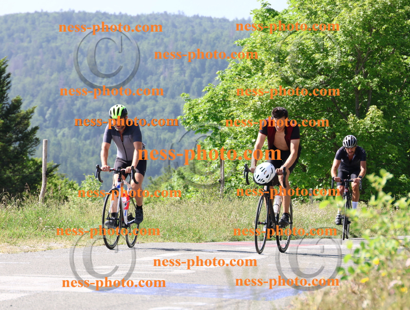 Col du grand Colombier (568).JPG