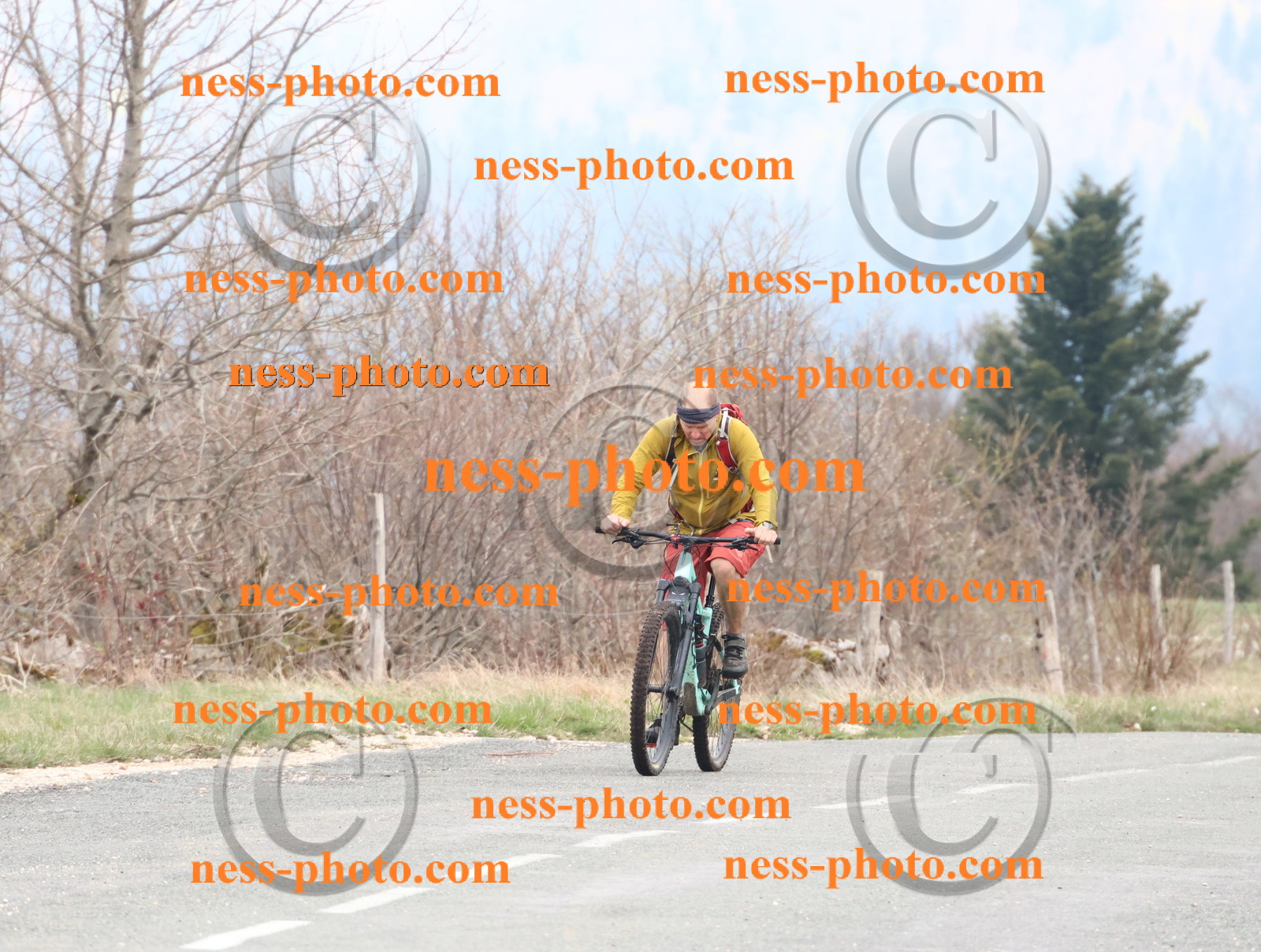 Col du Grand Colombier (80).JPG