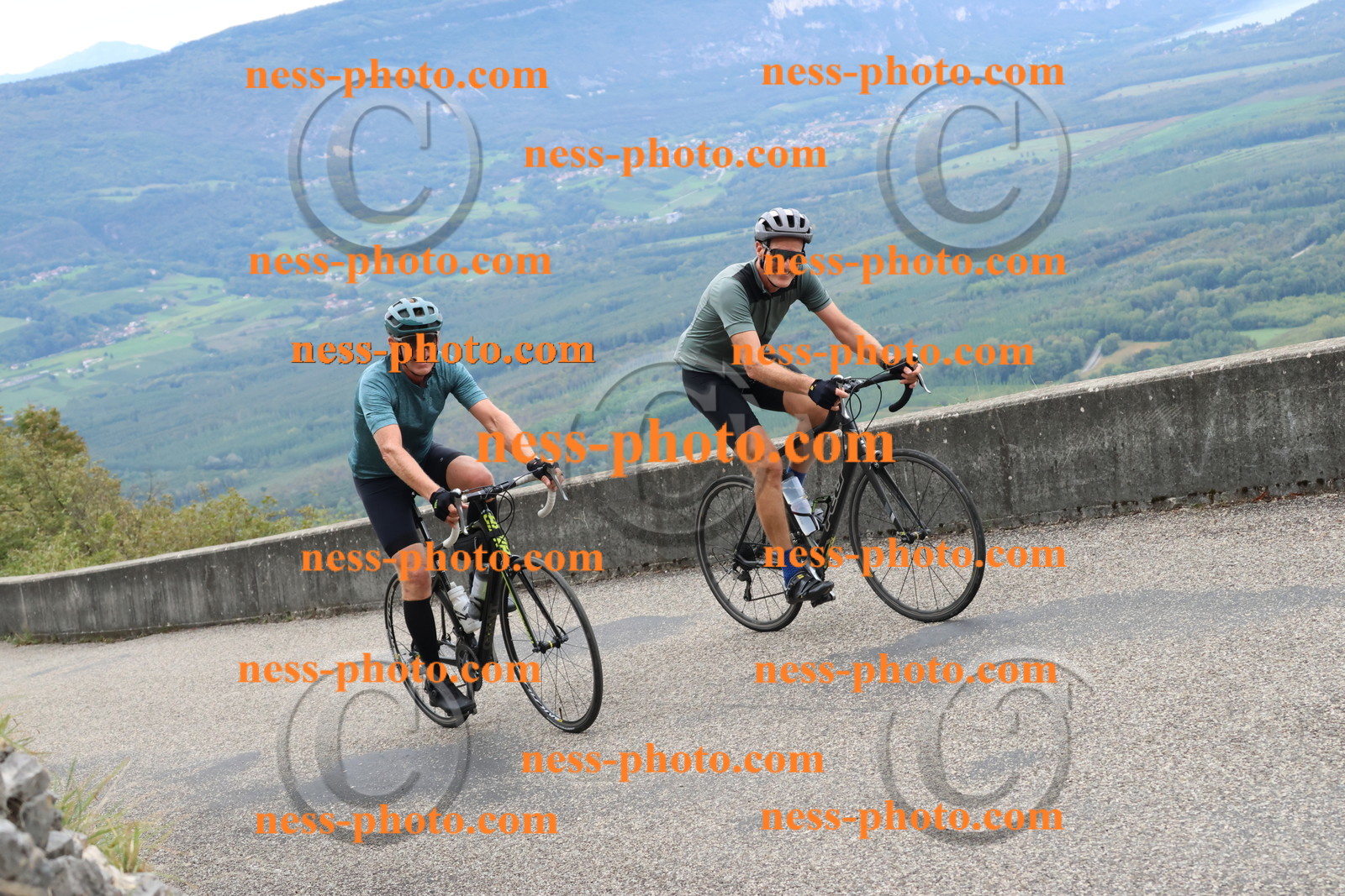 Col du Grand Colombier (2194).JPG