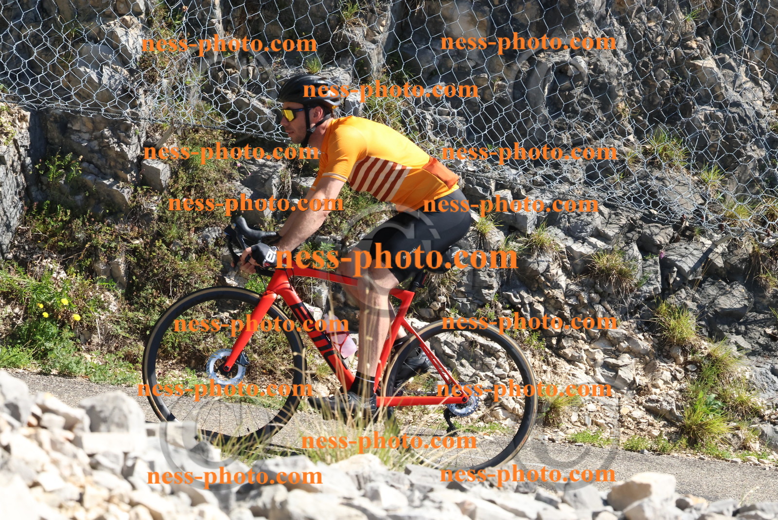 Col du Grand Colombier (573).JPG