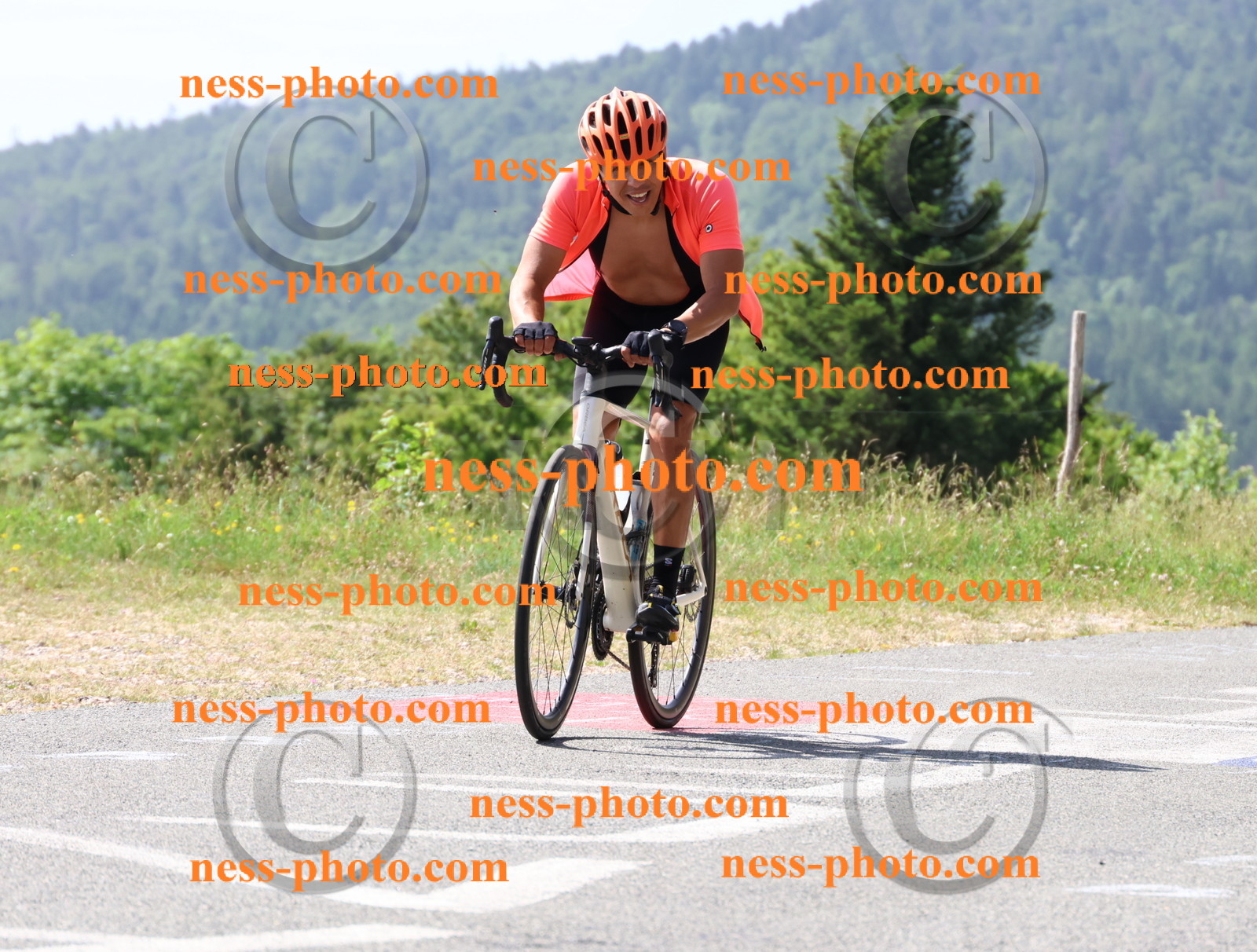 Col du grand Colombier (966).JPG