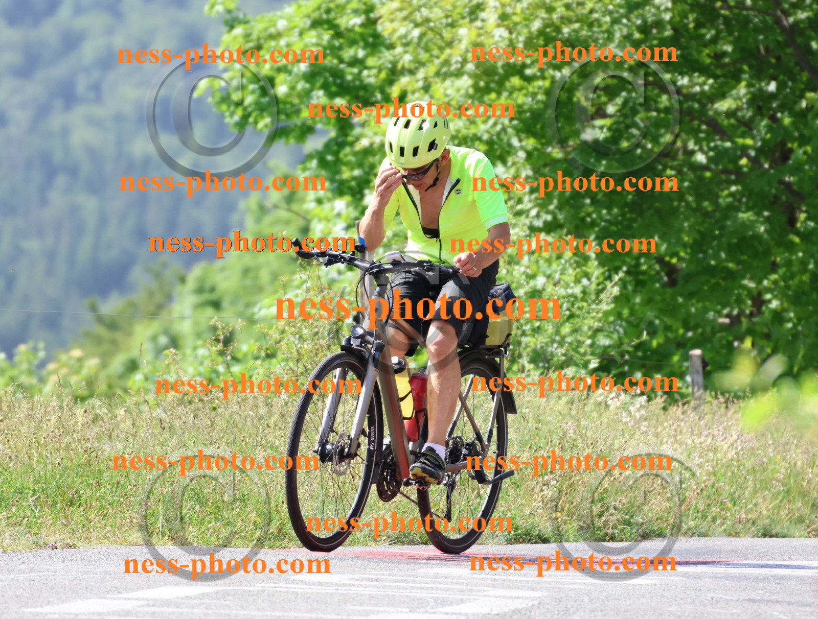 Col du grand Colombier (707).JPG