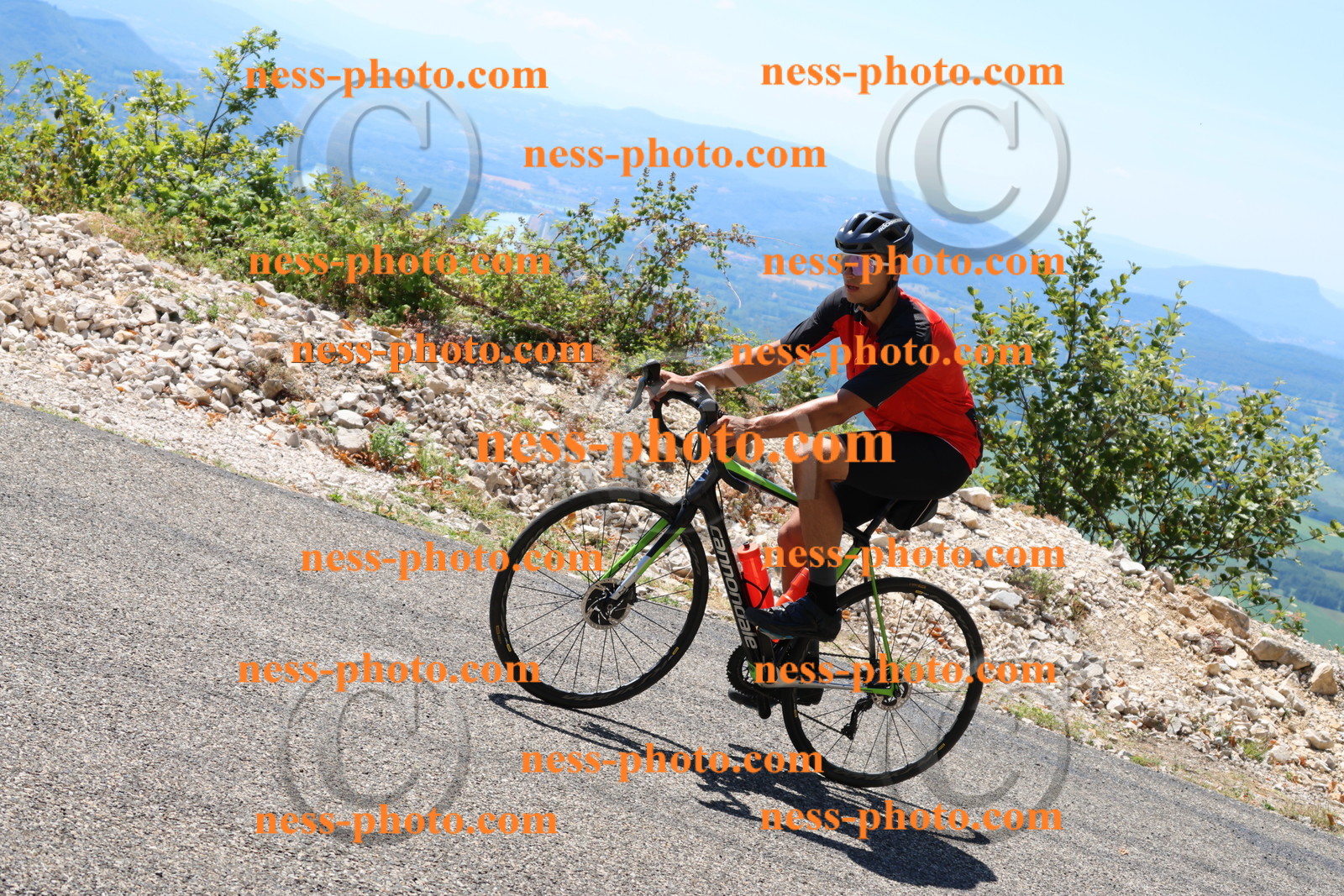 Col du Grand Colombier (2695).JPG