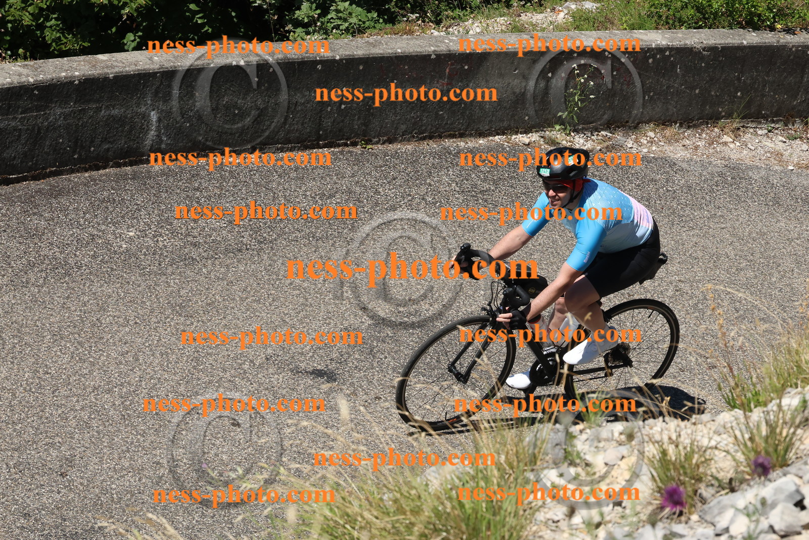 Col du Grand Colombier (393).JPG