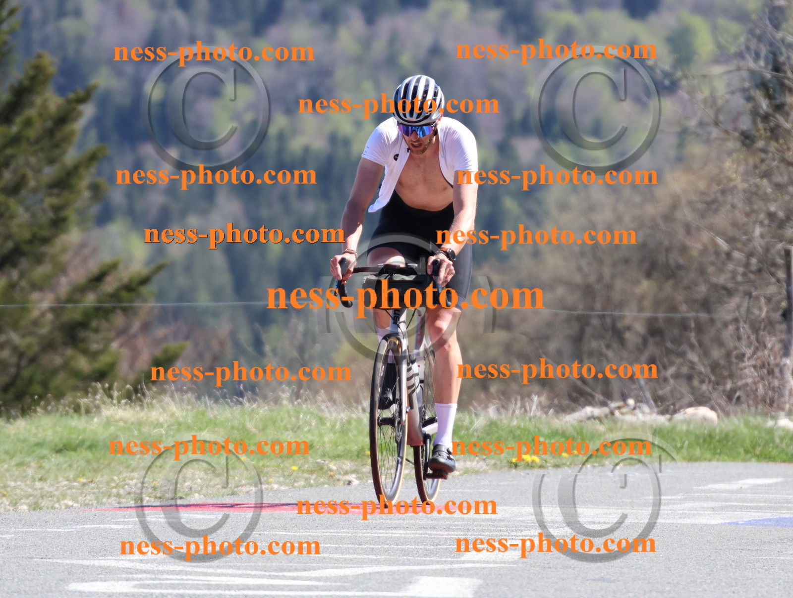 Col du Grand Colombier (1068).JPG