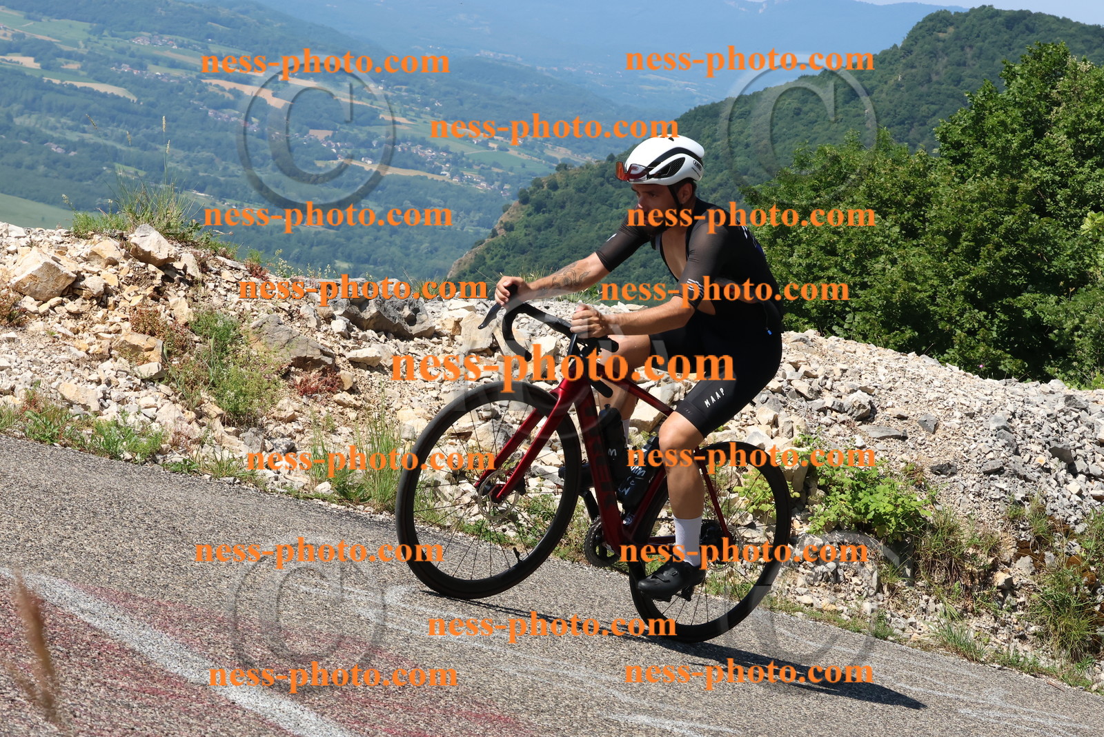 Col du Grand Colombier (319).JPG