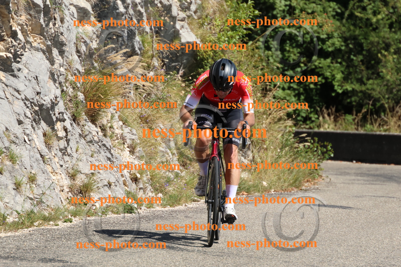 Col du Grand Colombier (659).JPG