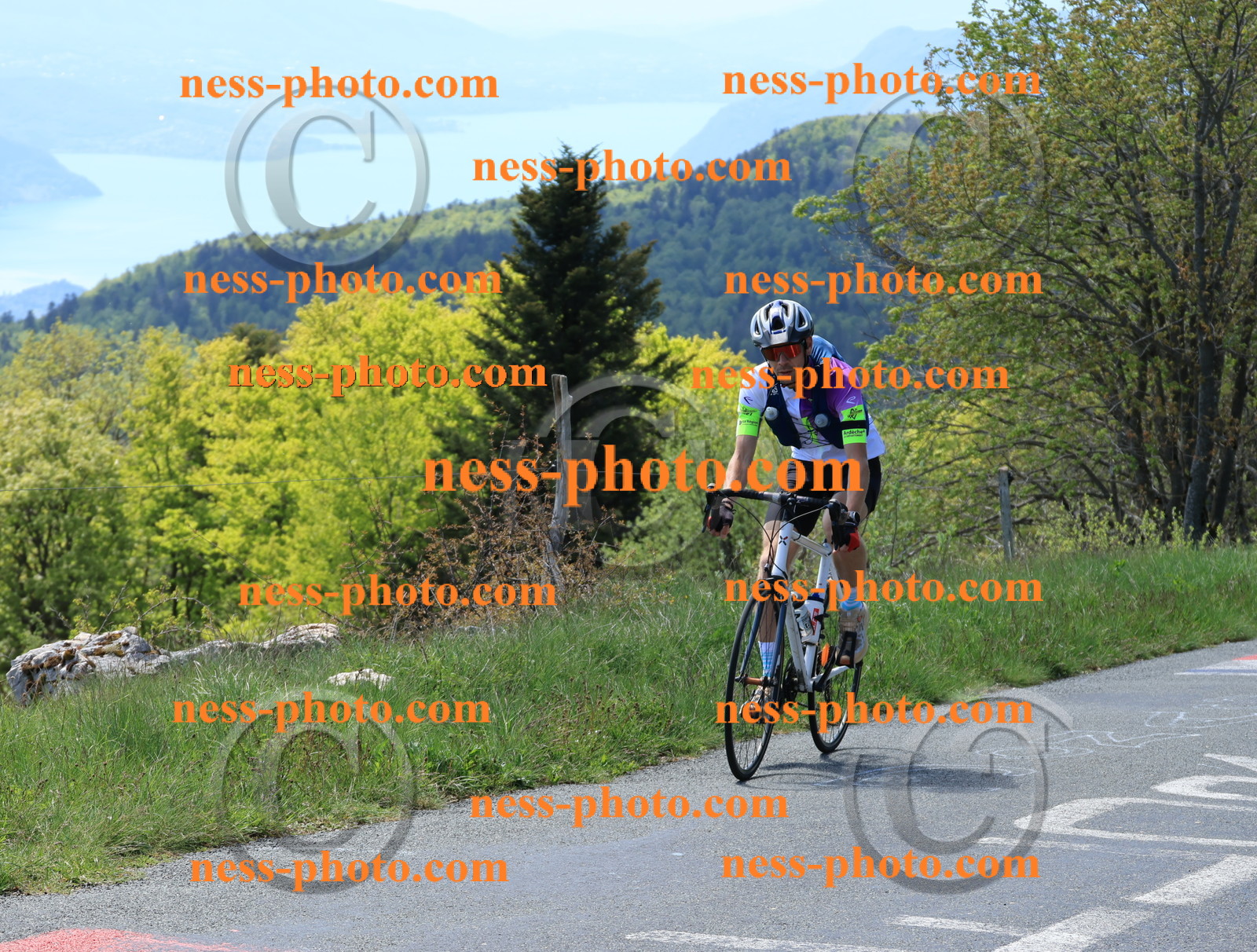 Col du Grand Colombier (70).JPG