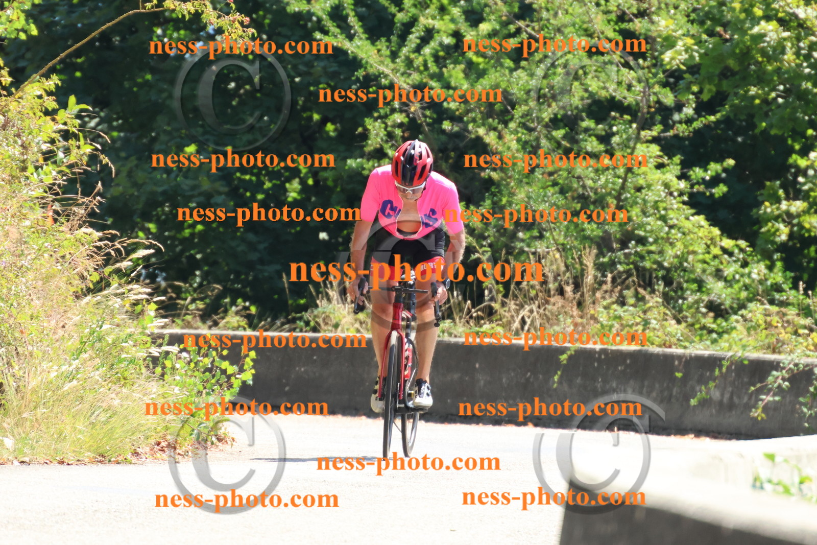 Col du Grand Colombier (340).JPG