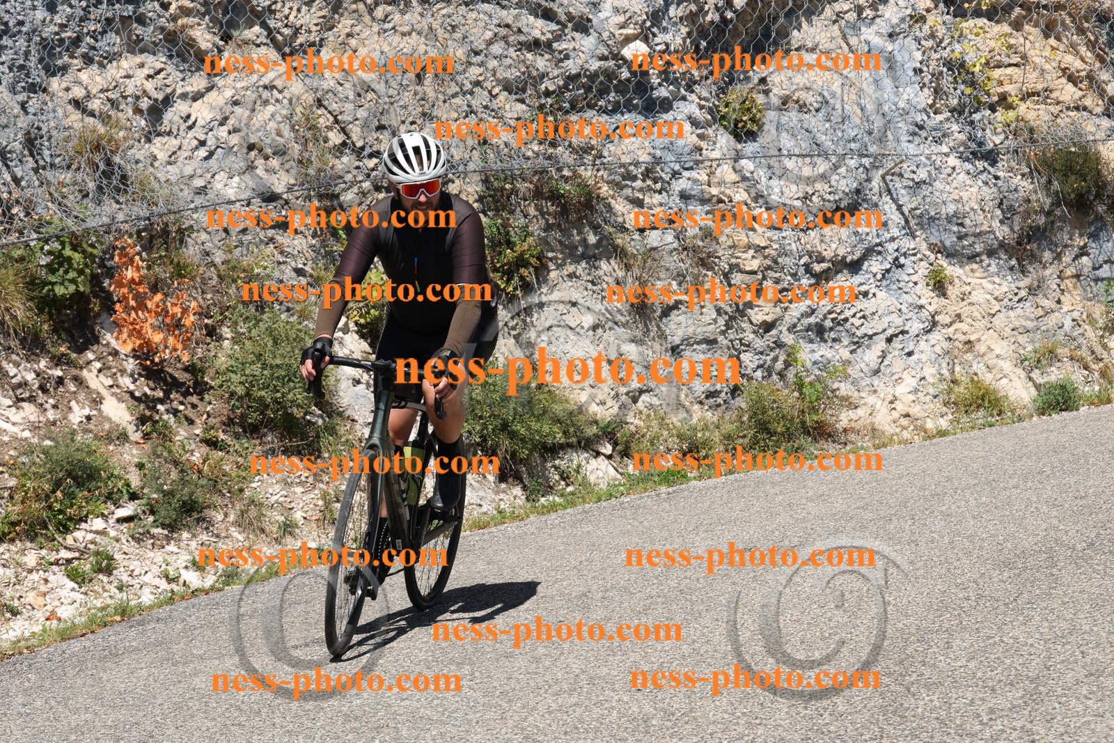 Col du Grand Colombier (401).JPG