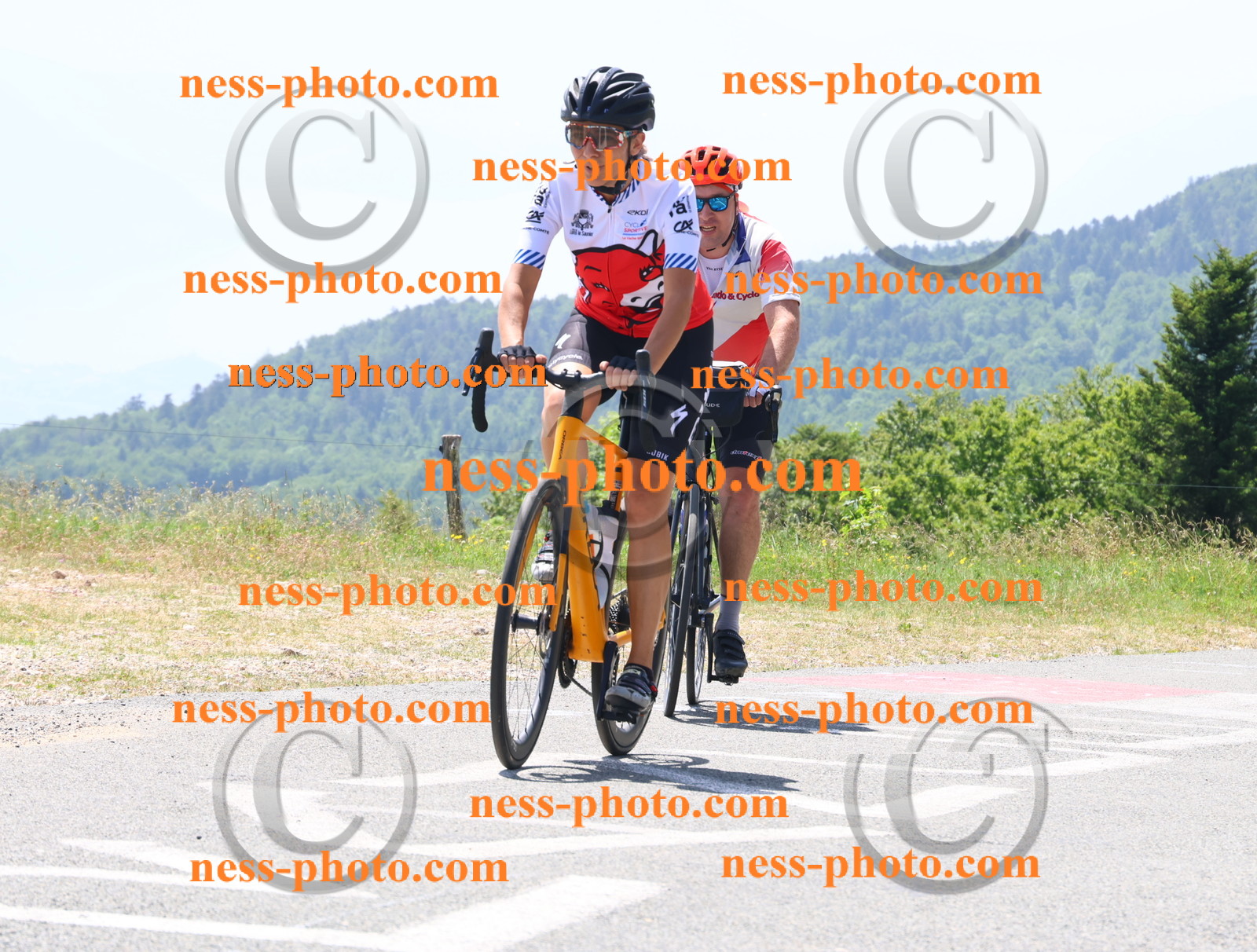 Col du grand Colombier (2552).JPG