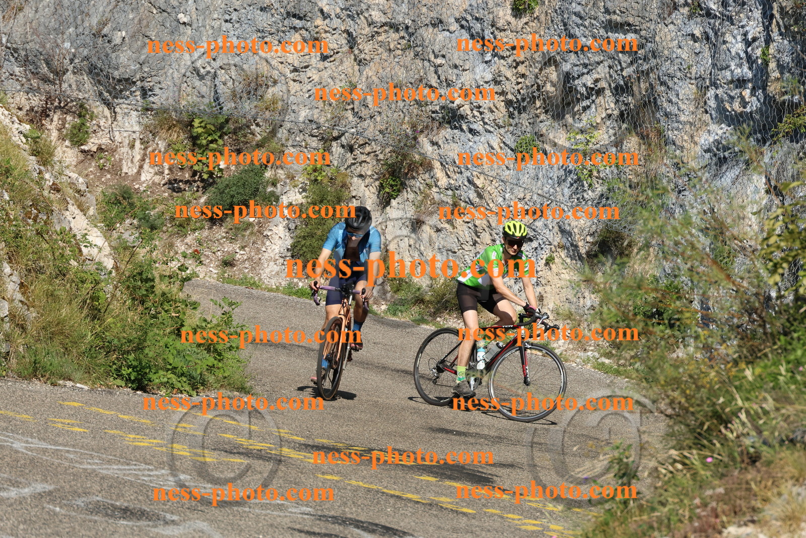 Col du Grand Colombier (285).JPG