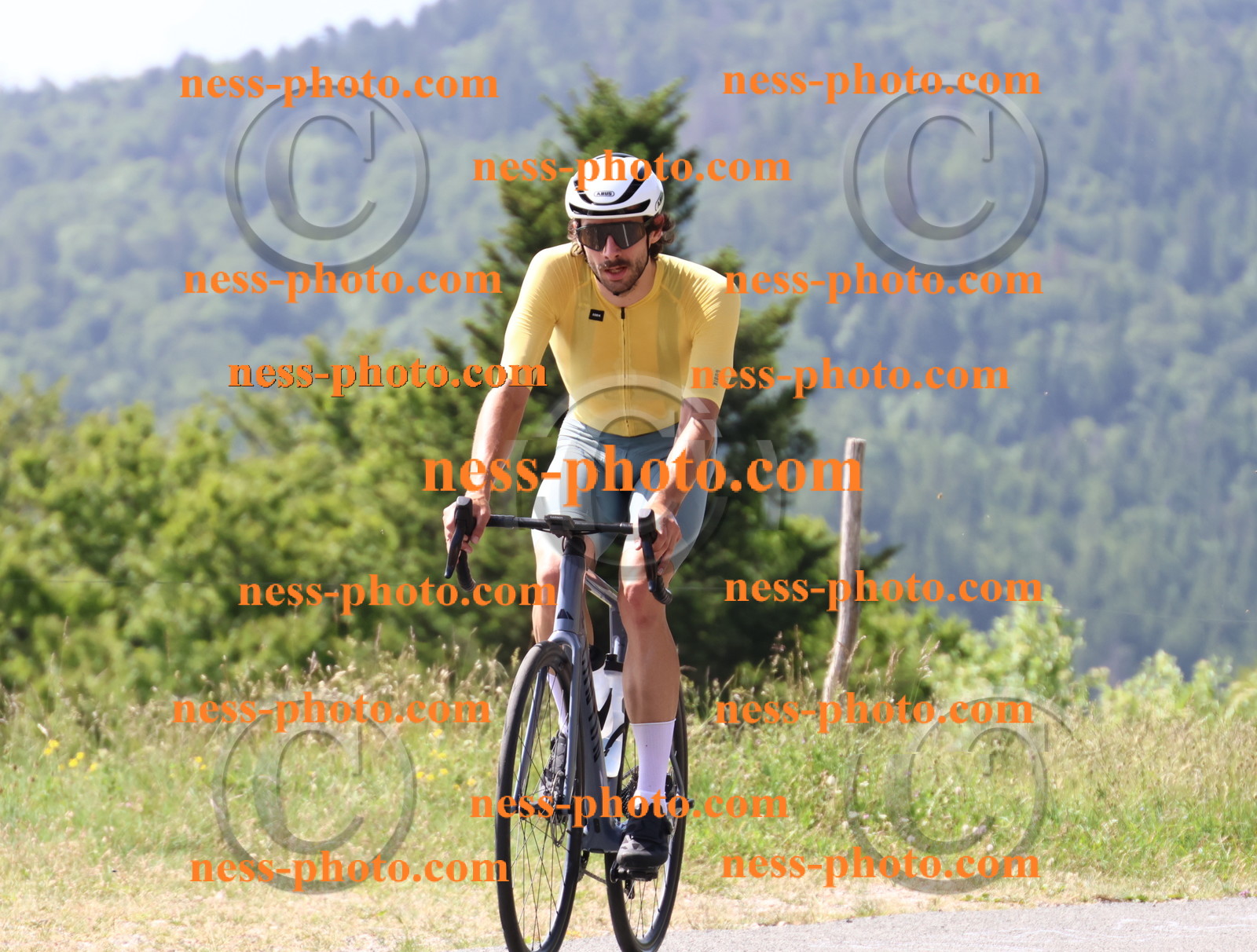 Col du grand Colombier (1043).JPG