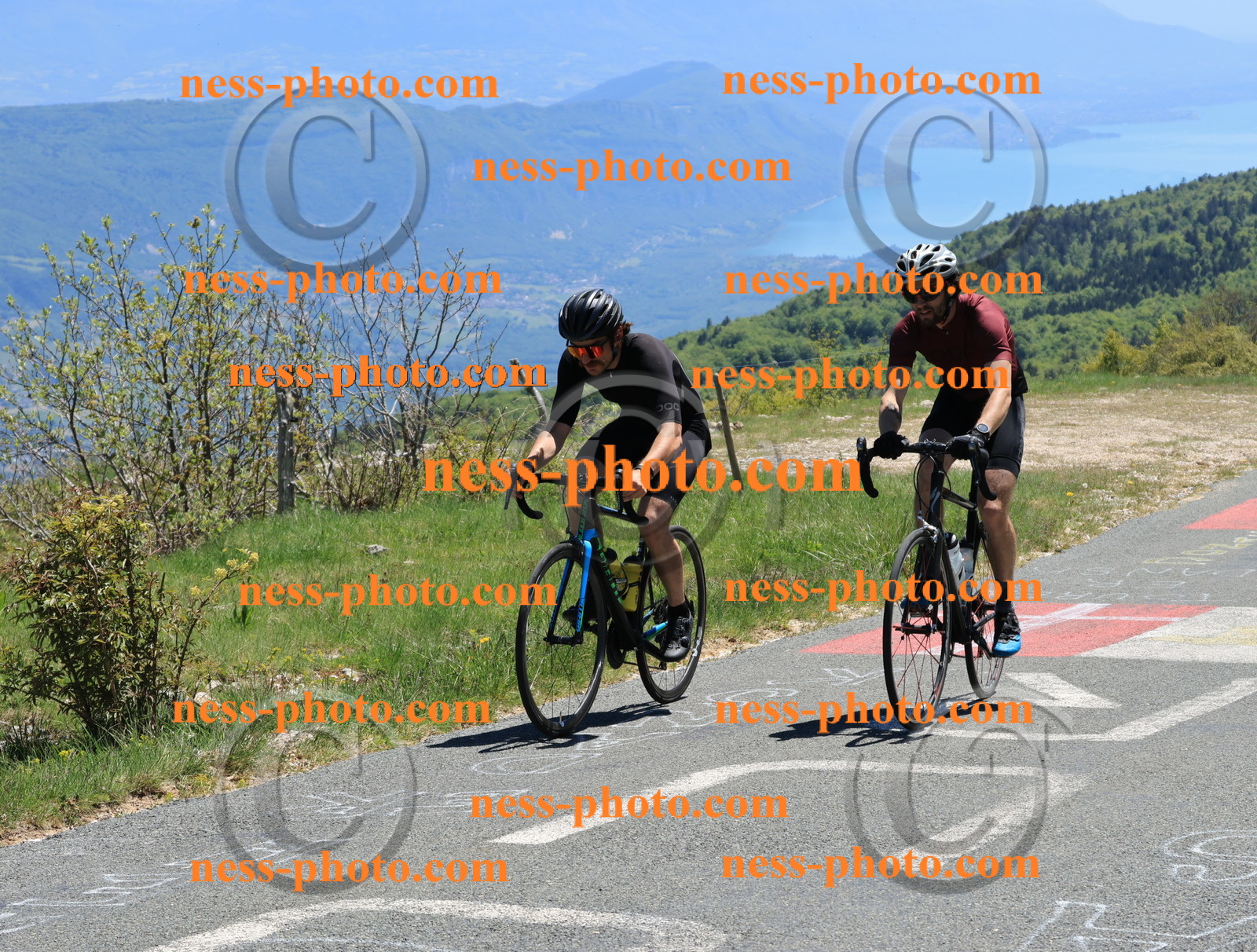 Col du Grand Colombier (447).JPG